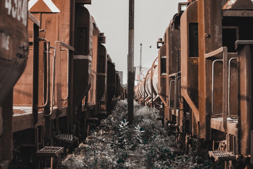 a train on the railway tracks