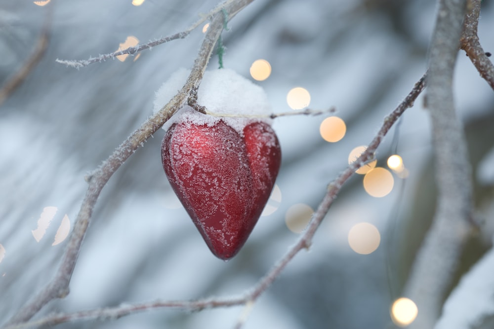 a red heart from a tree