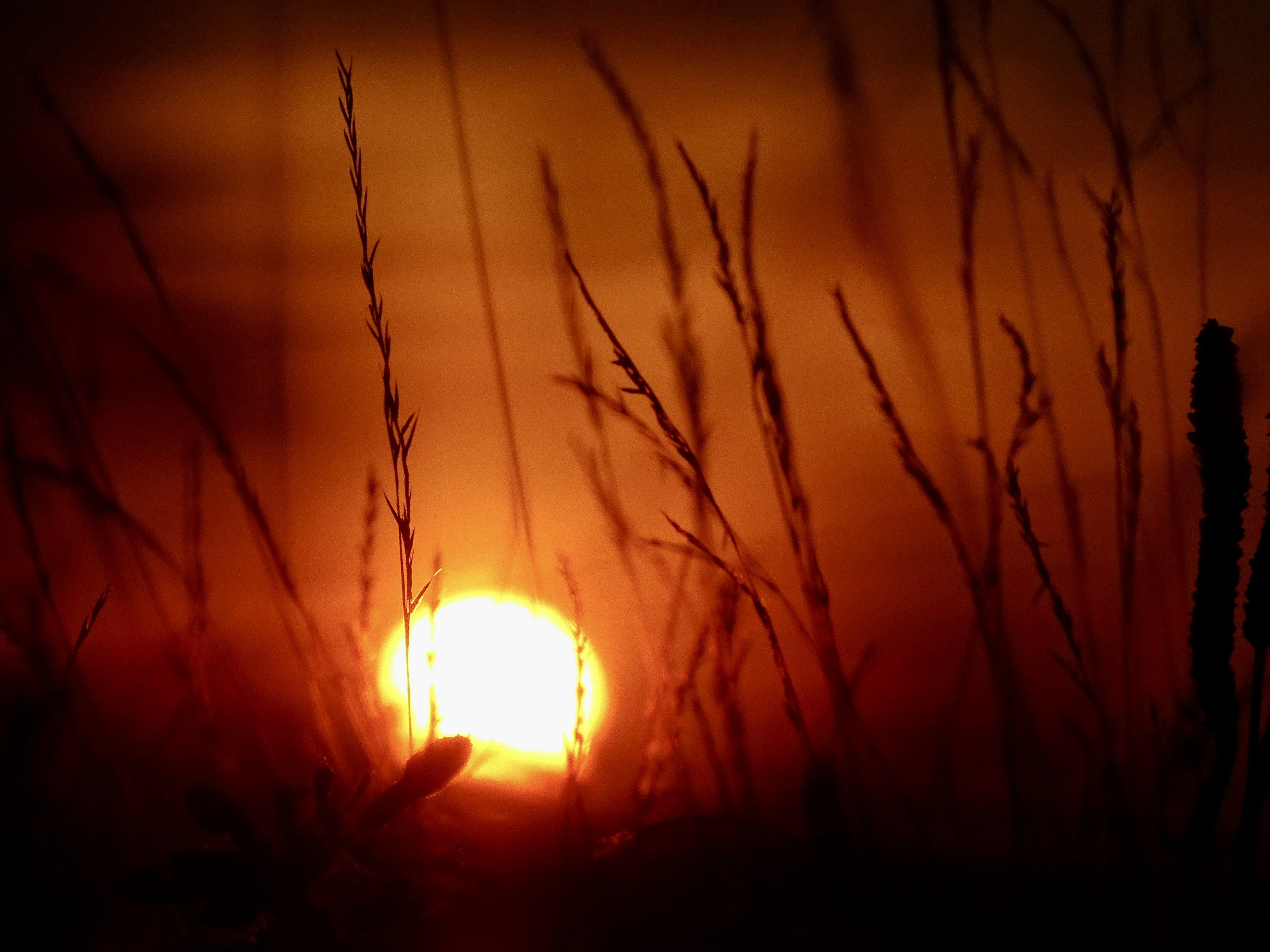 Photo by nagyviraganna