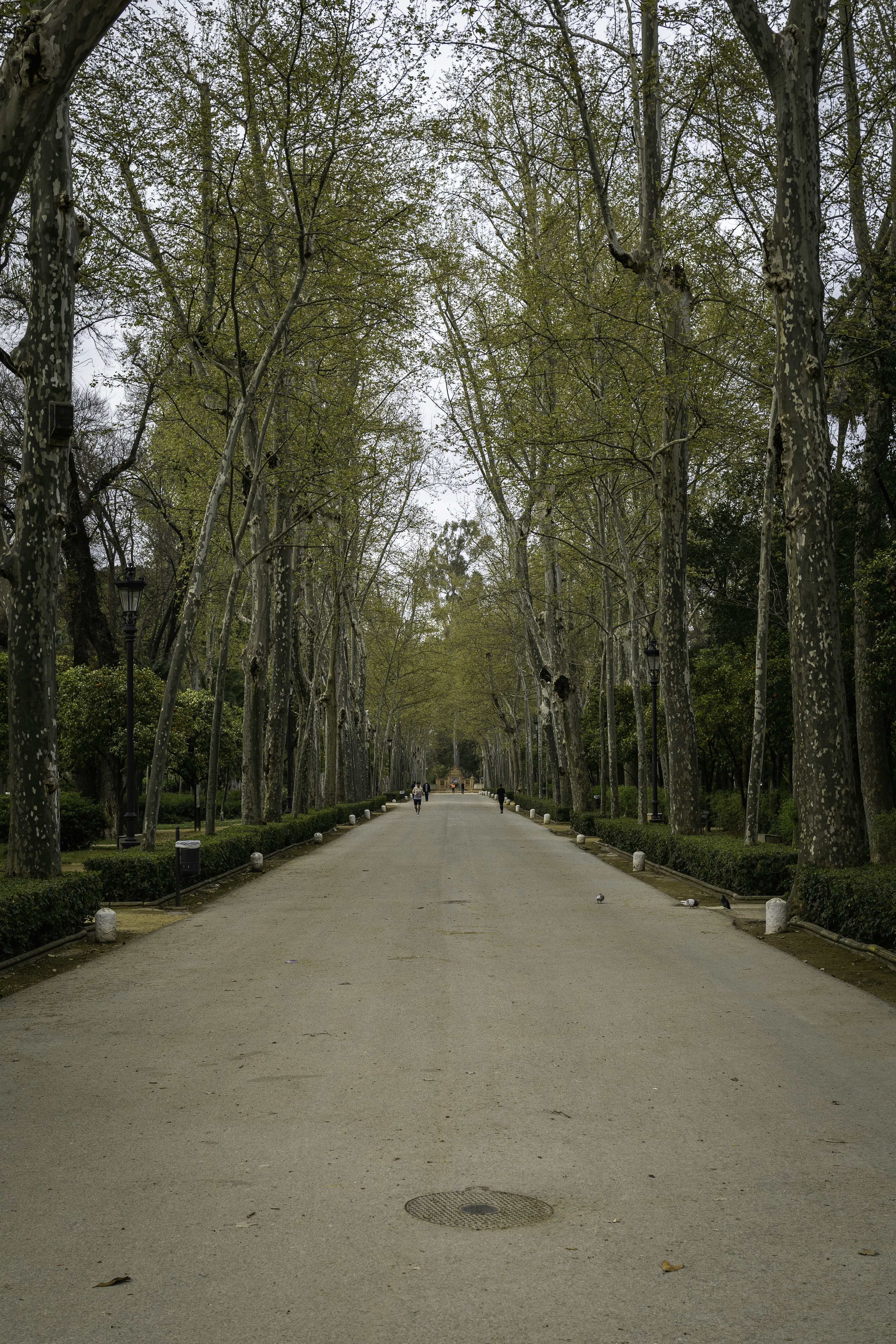 Photo by alex_quezada