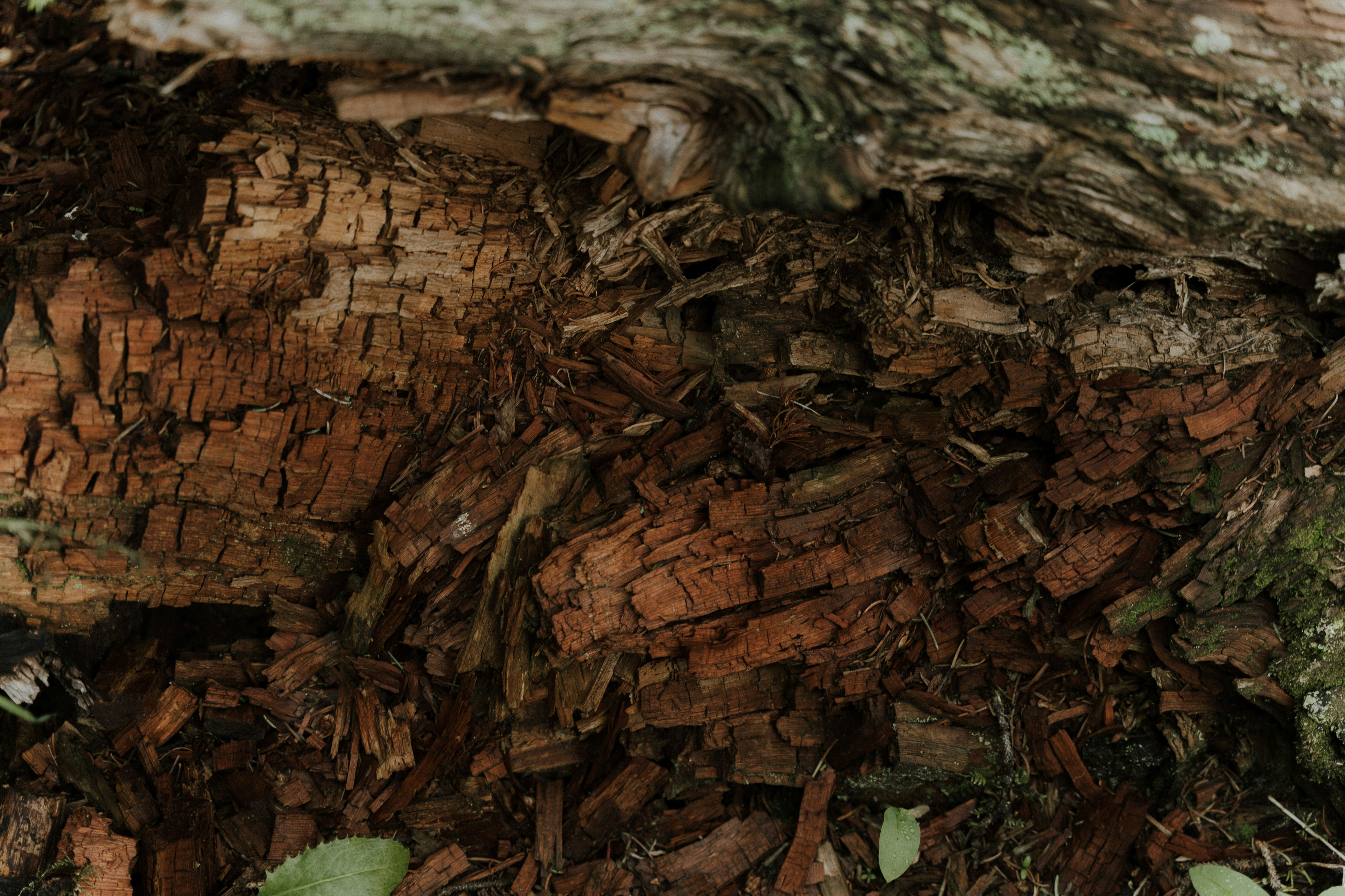 Photo by nomadicfitlust