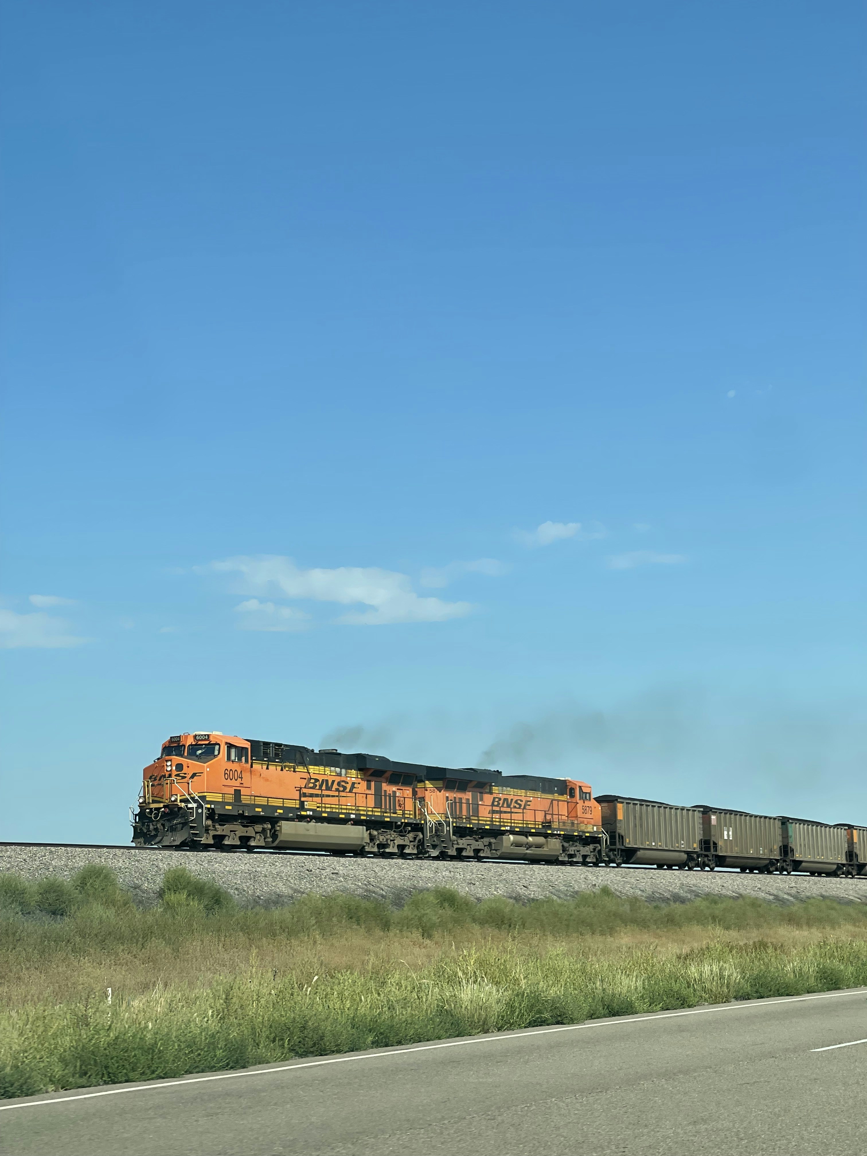 Photo by madelinerosa