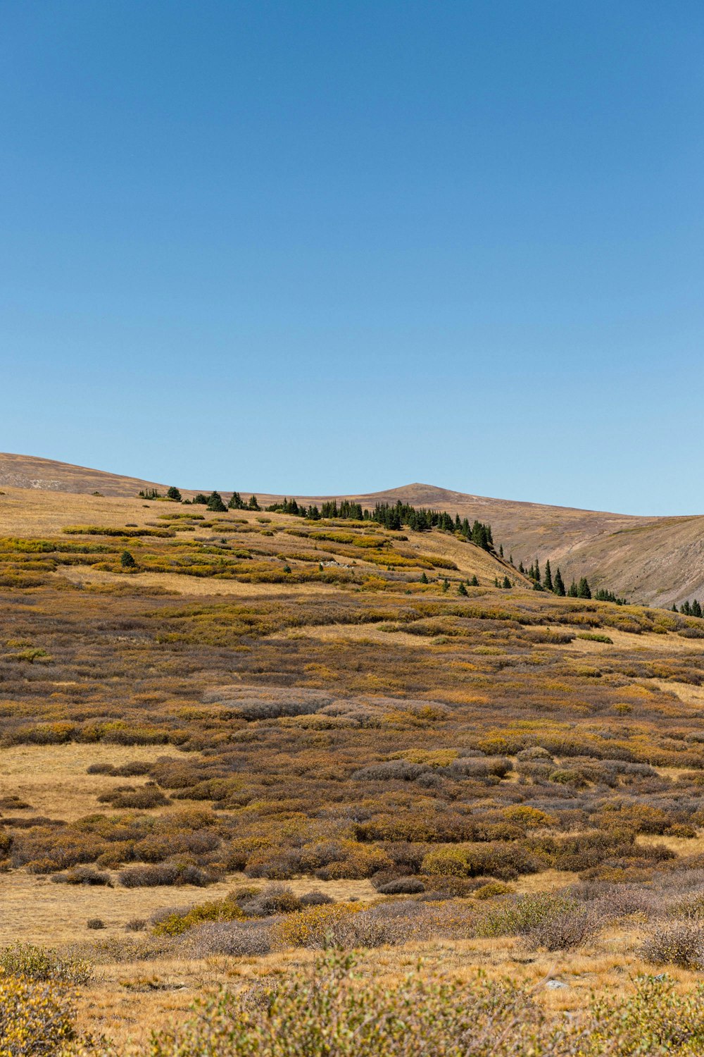 a grassy area with hills in the background