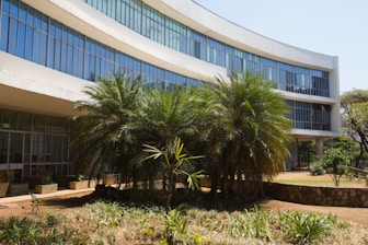 a building with palm trees in front of it