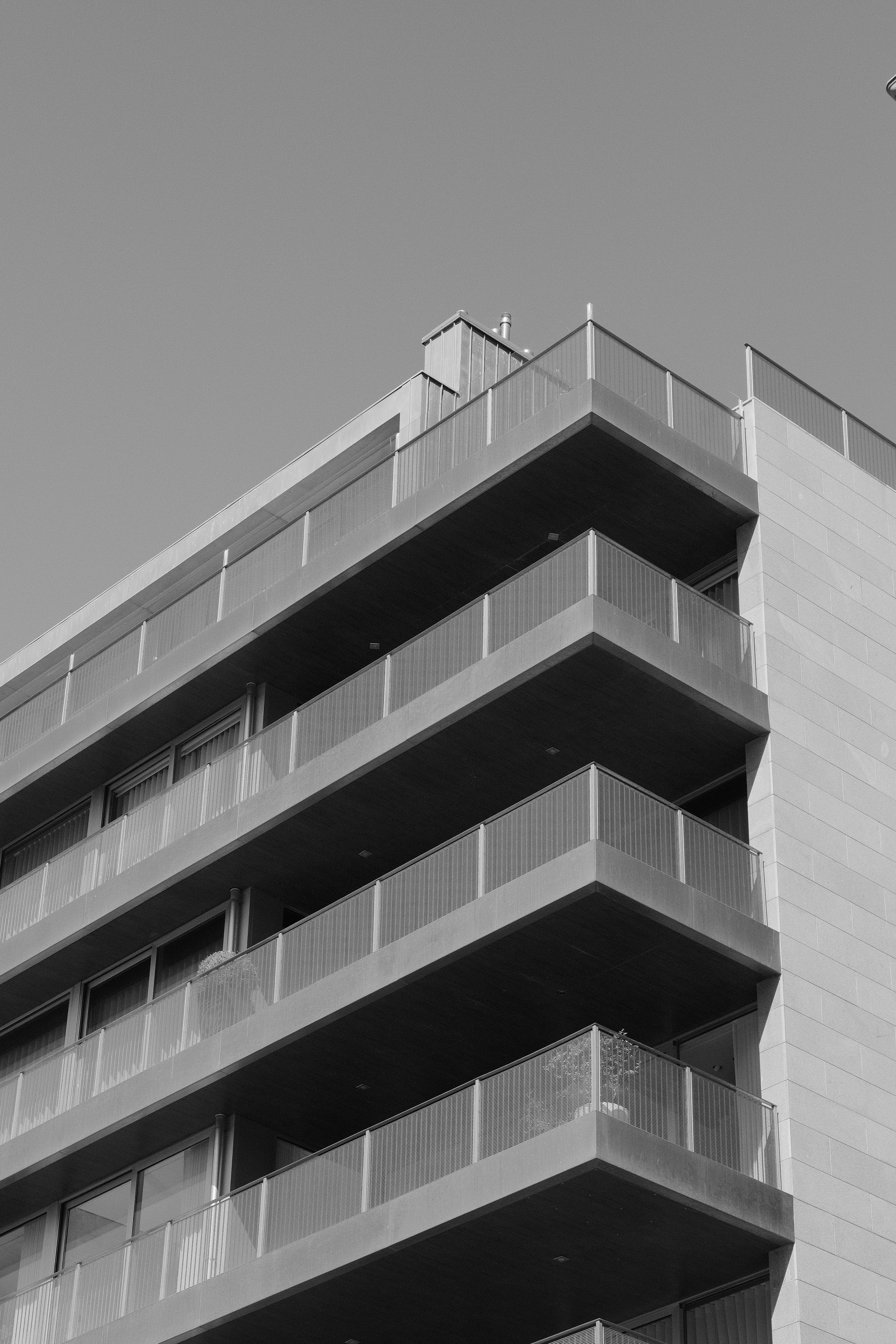 Photo by gabrielreisnf