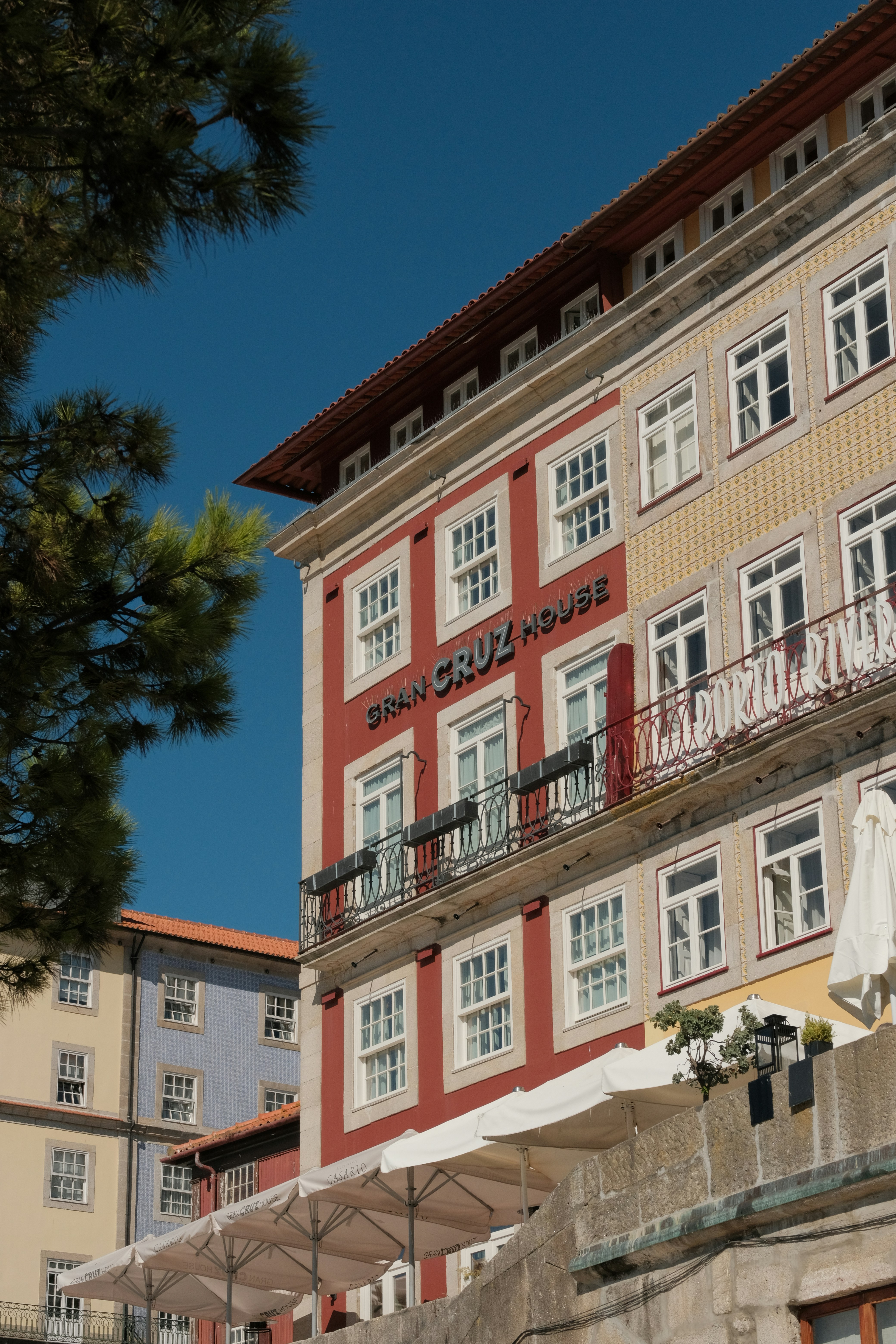 Photo by gabrielreisnf