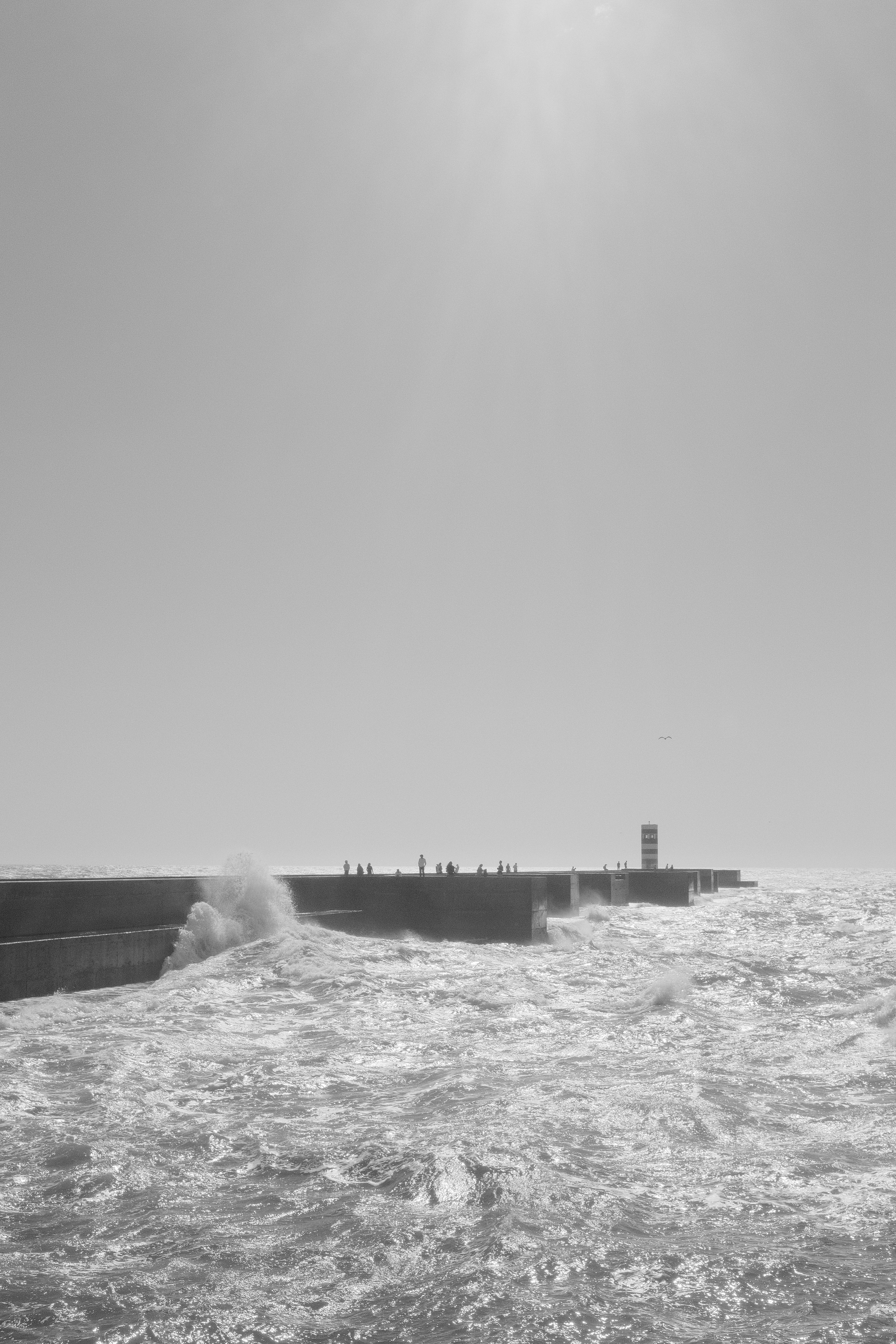 Photo by gabrielreisnf