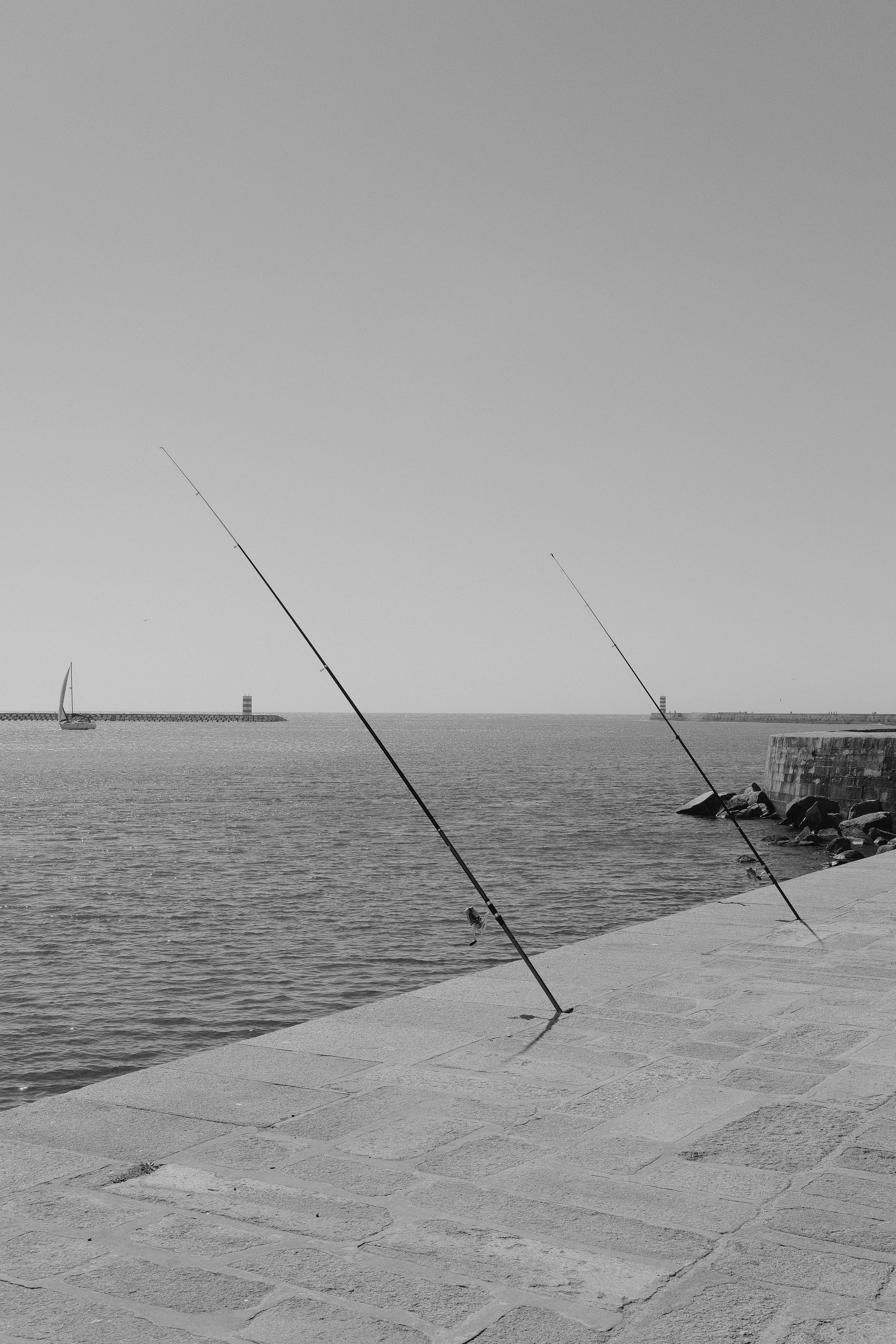 dock fishing poles DocksLocks Rod & Reel Security Kit The DMF dock combo is perfect for fishing around docks The 8 Best Fishing Rod