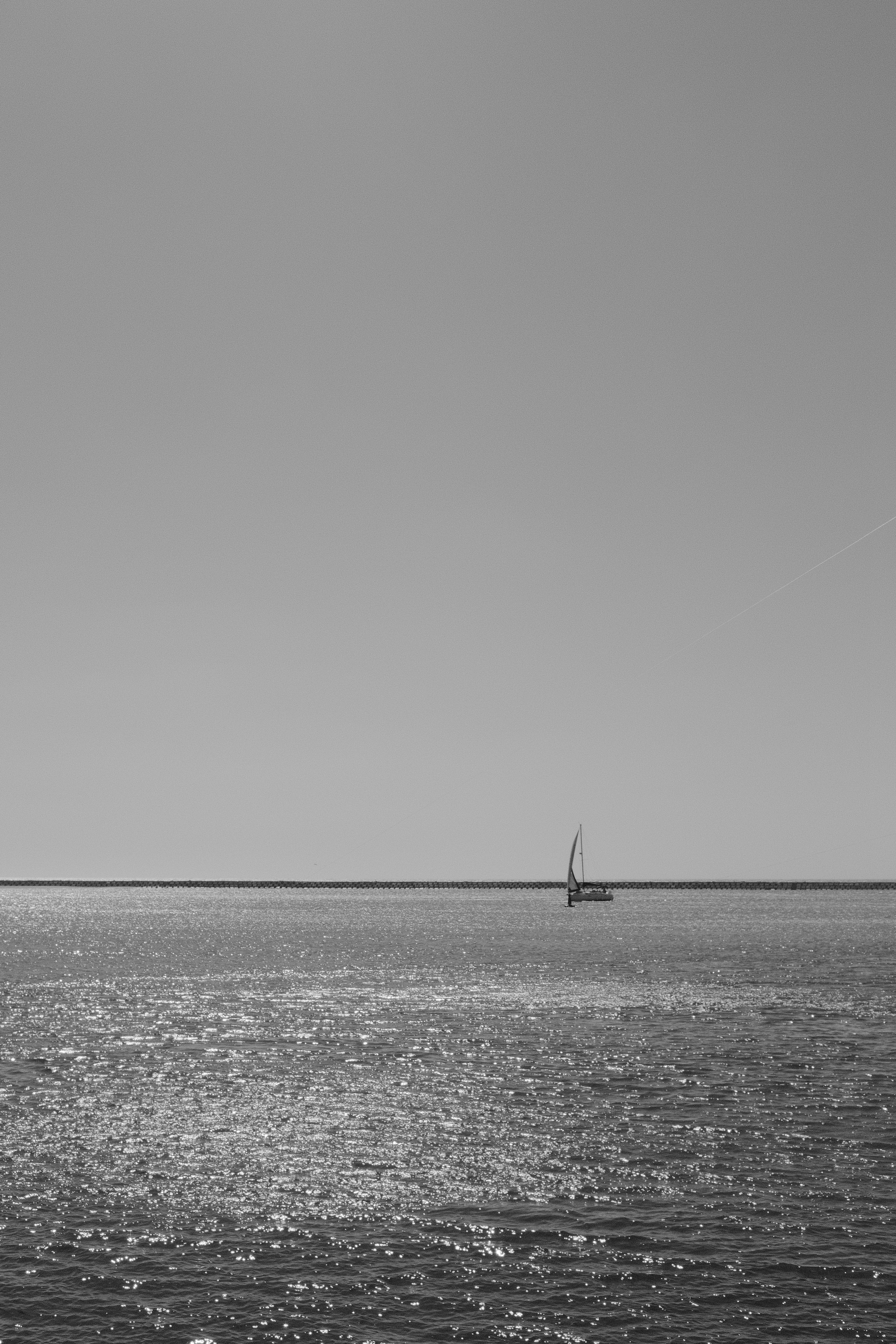 Photo by gabrielreisnf