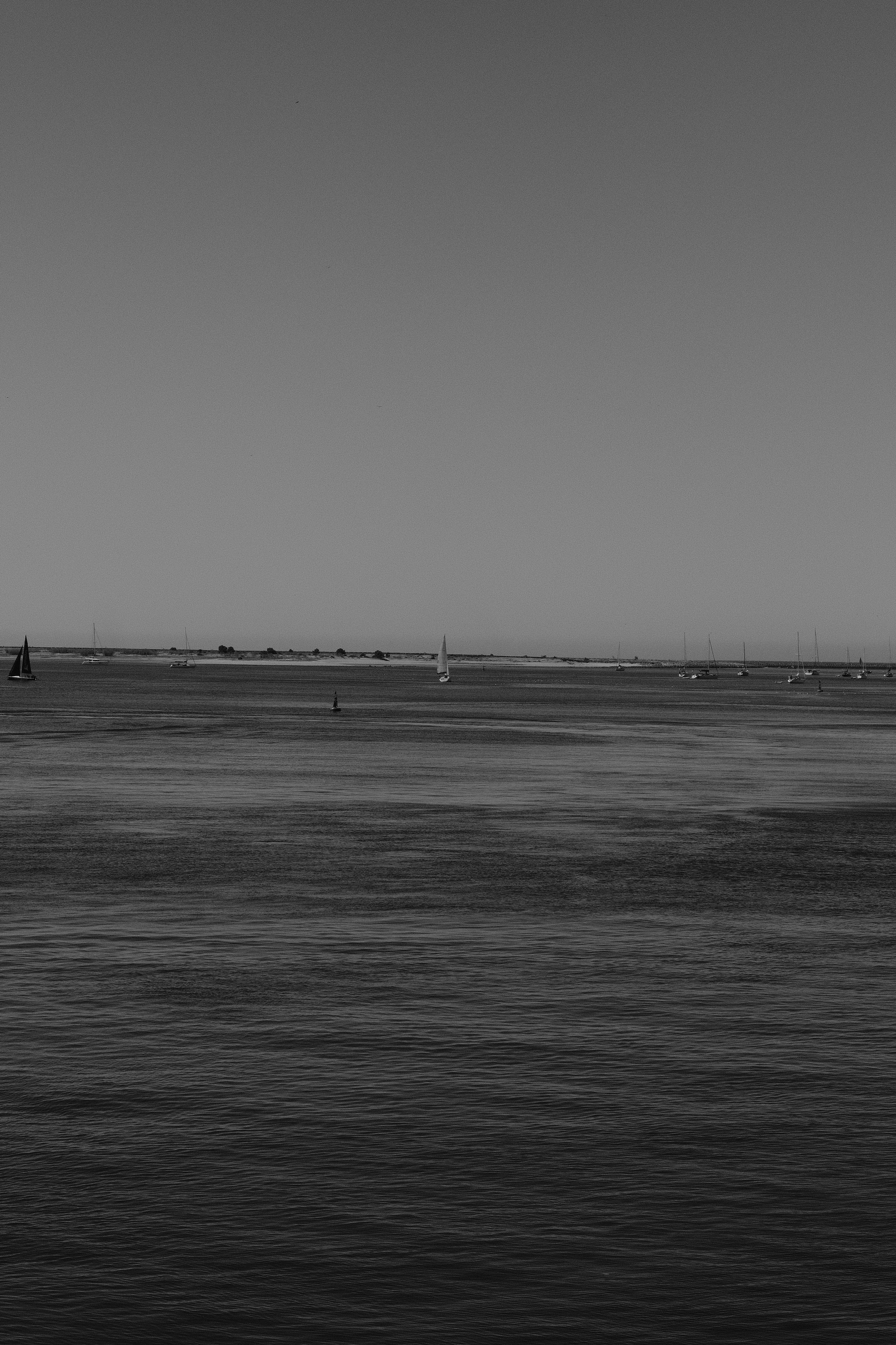 Photo by gabrielreisnf