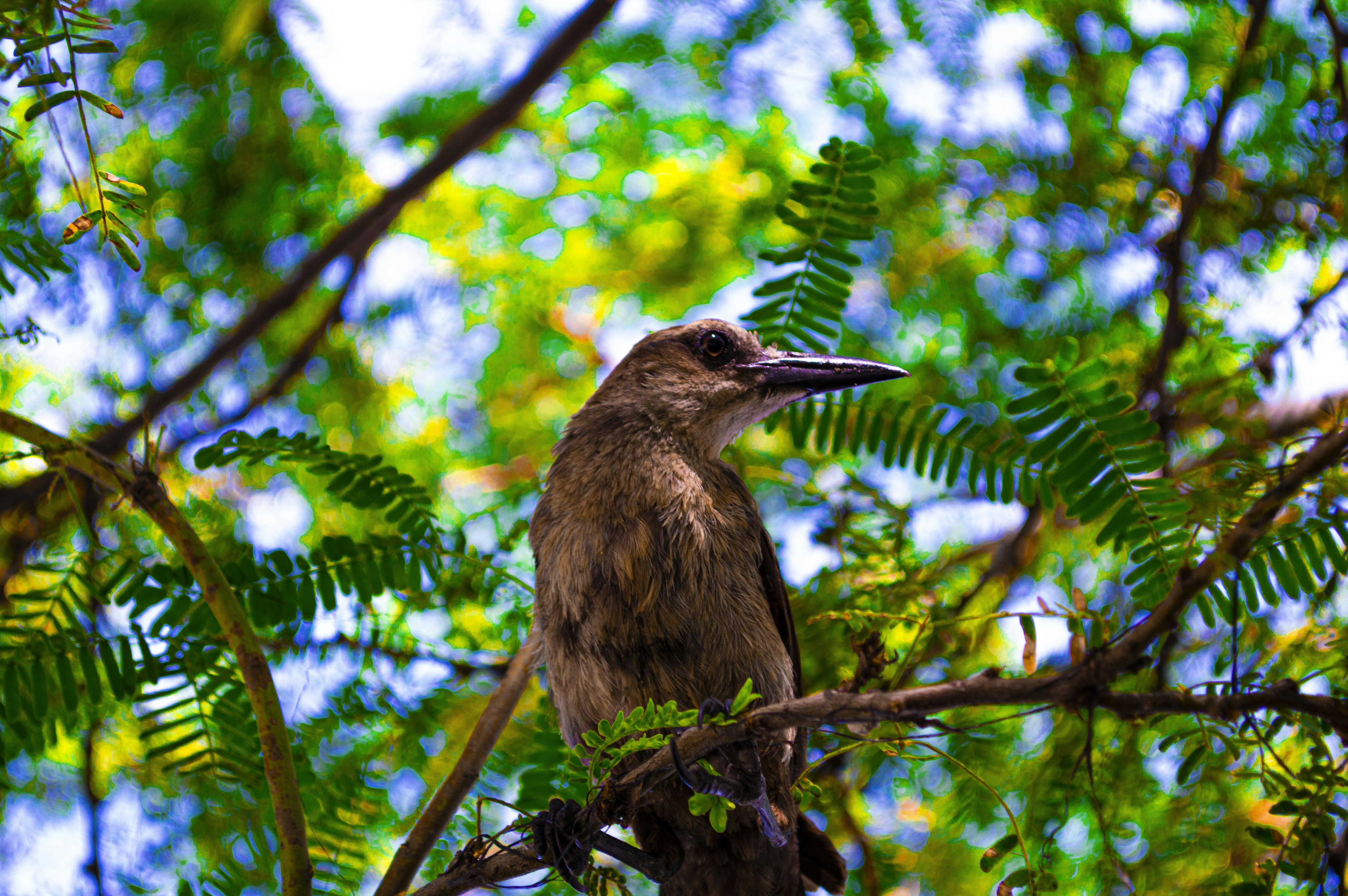 Photo by gosmansaldivia