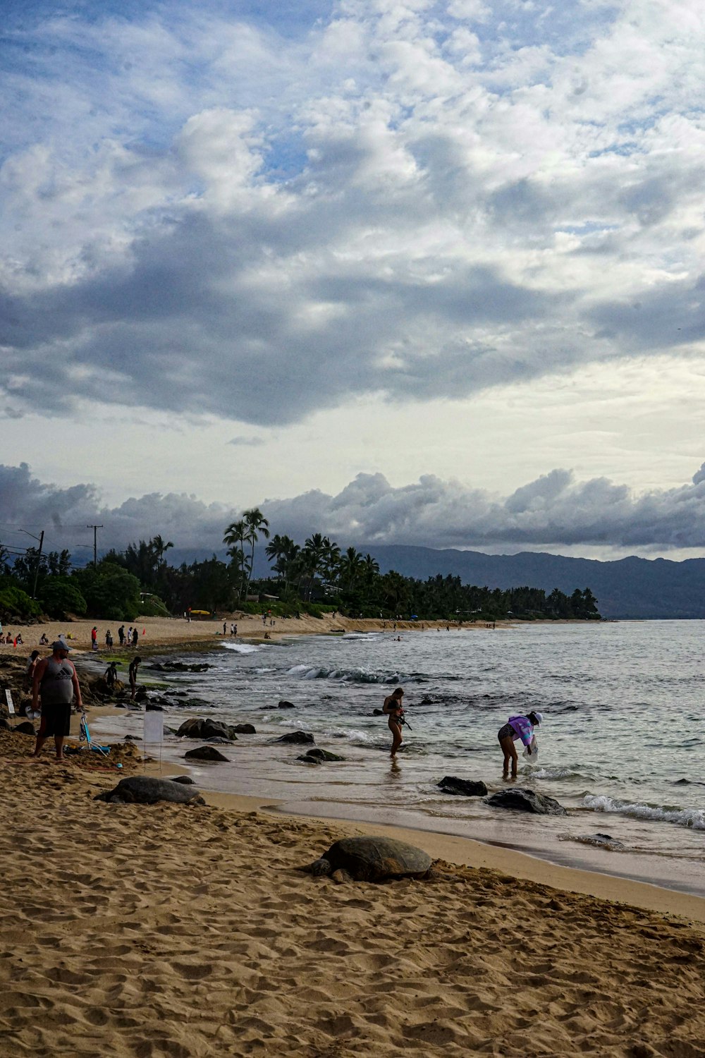 people on a beach