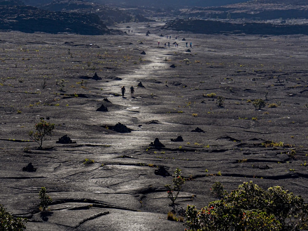 a group of people walking on a beach