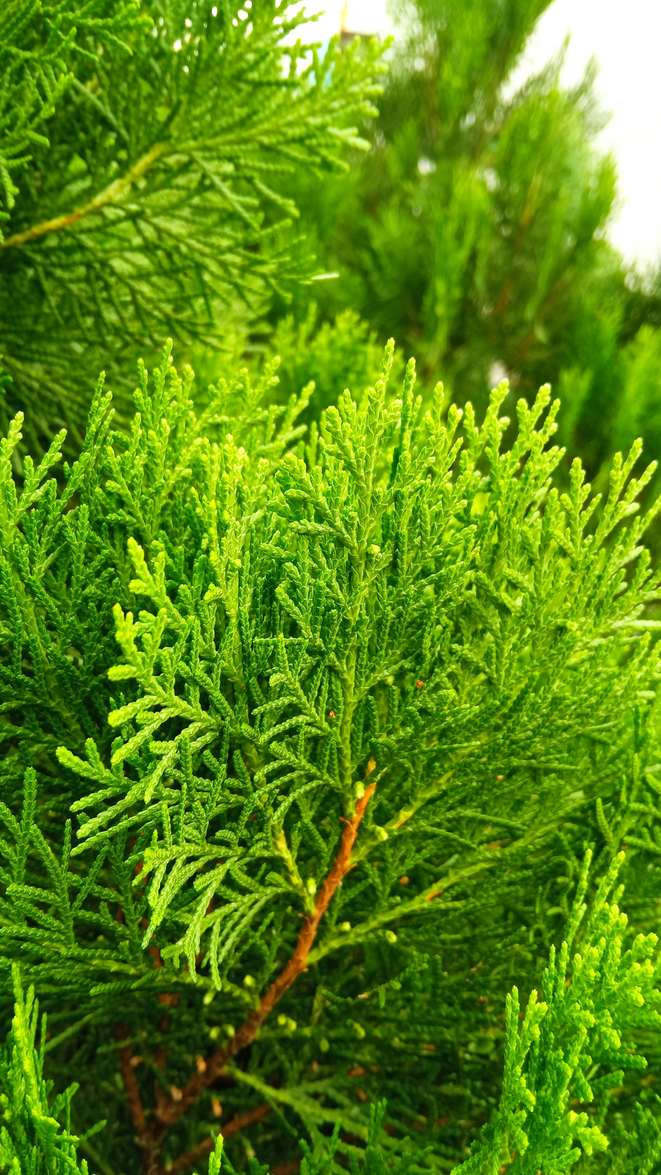 Photo by mrhrakib35955