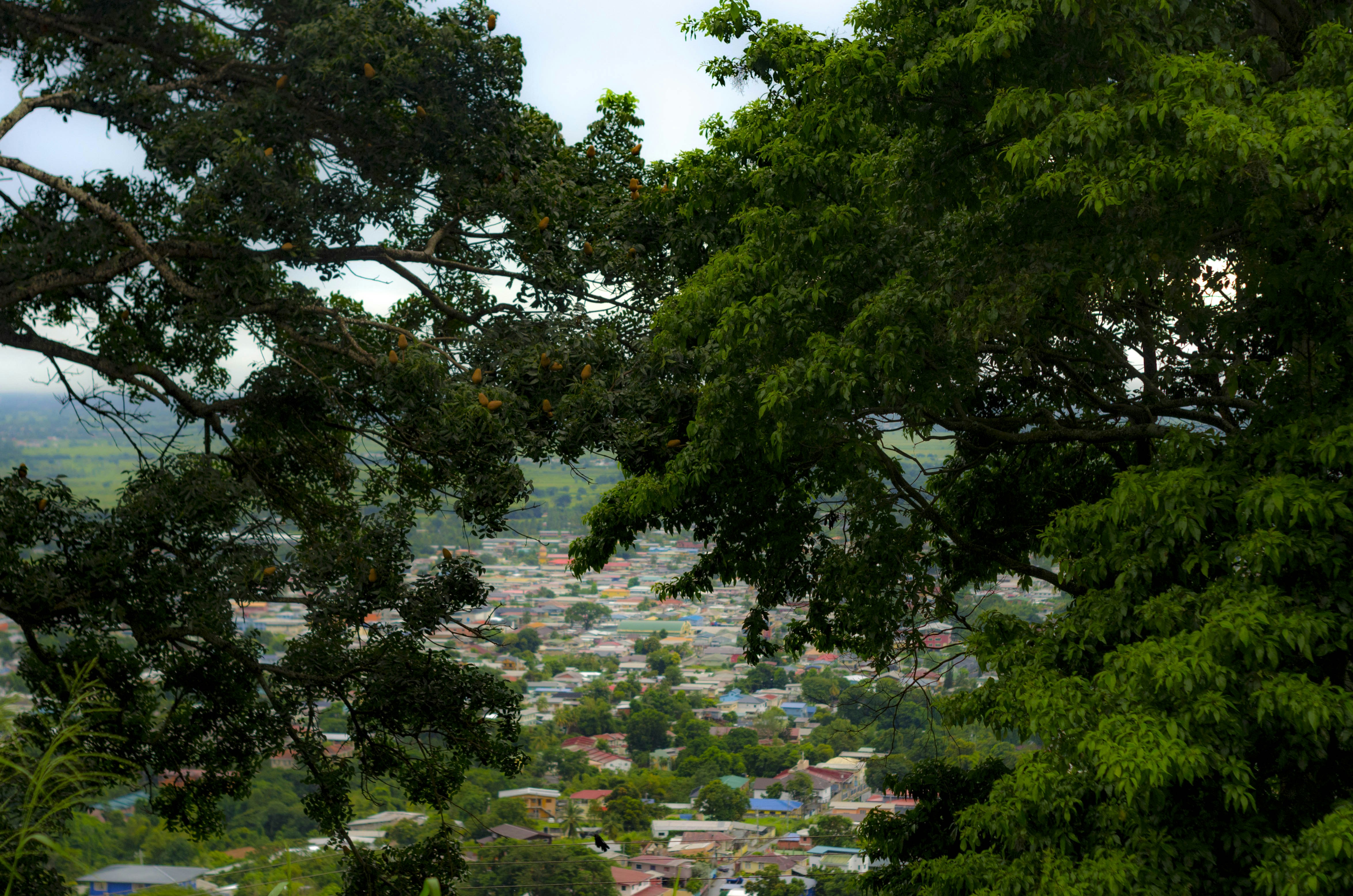 Photo by visualsbysaf