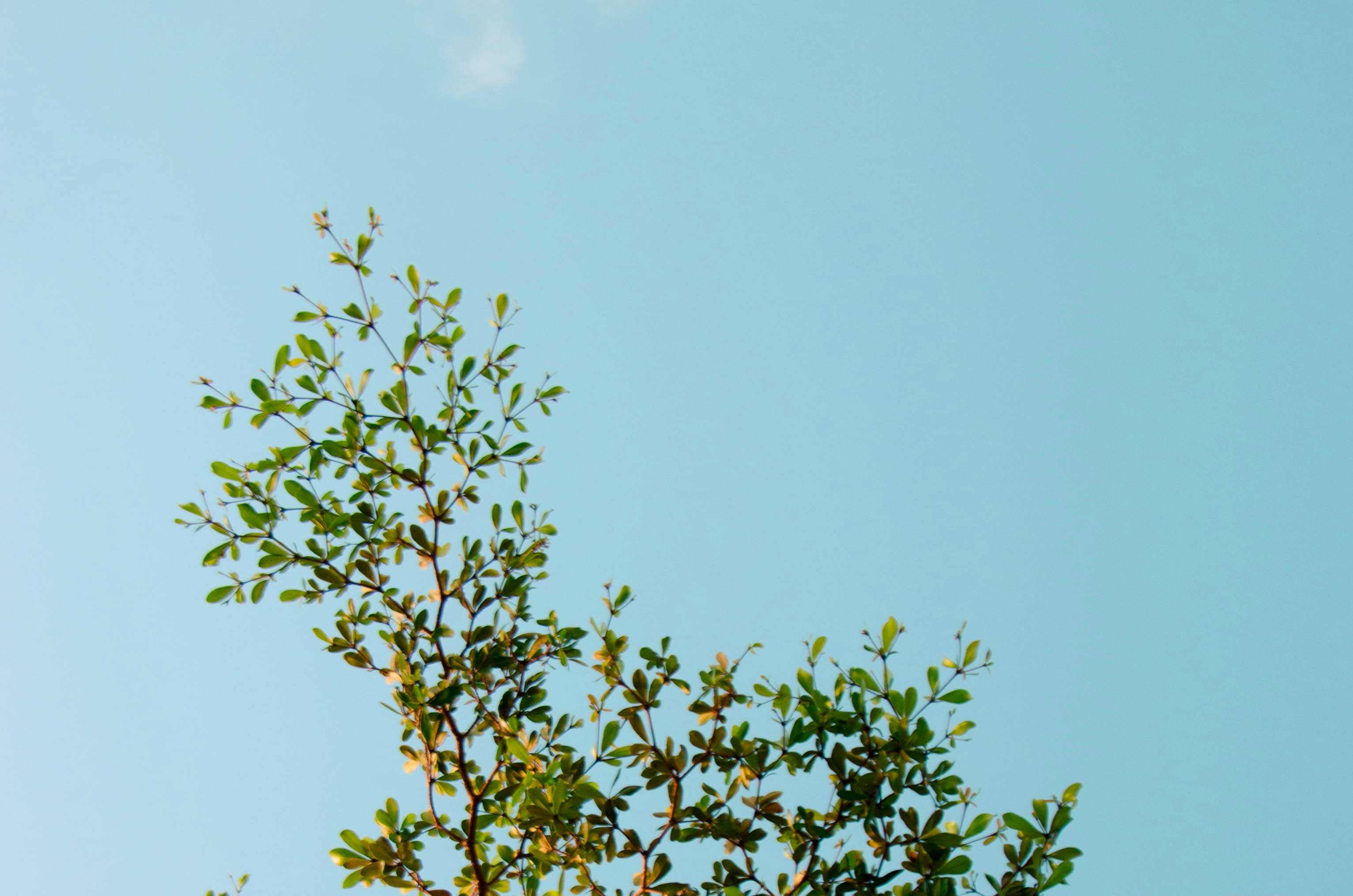 Photo by visualsbysaf