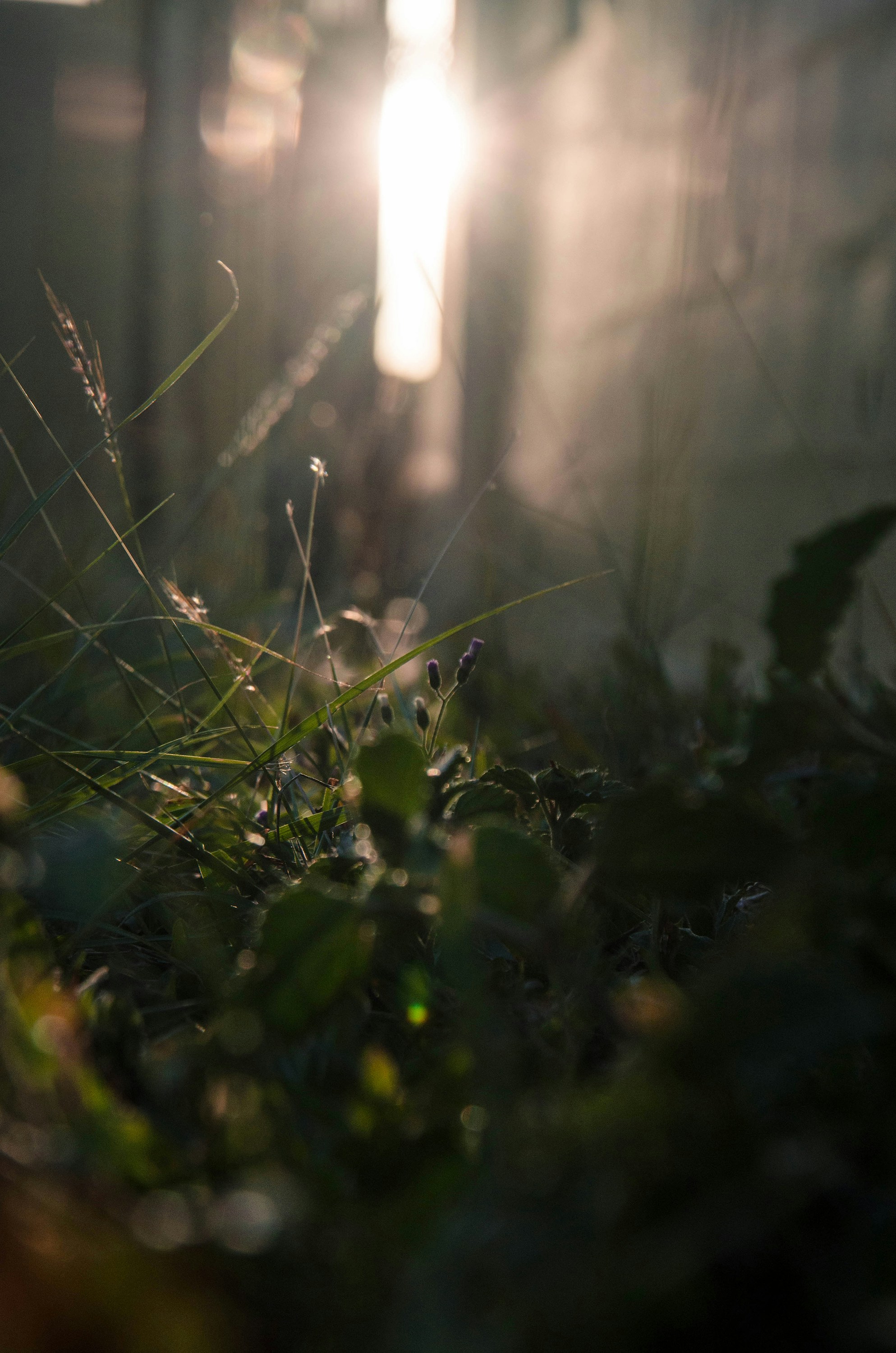 Photo by visualsbysaf