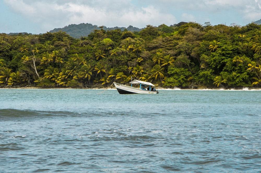 a boat on the water