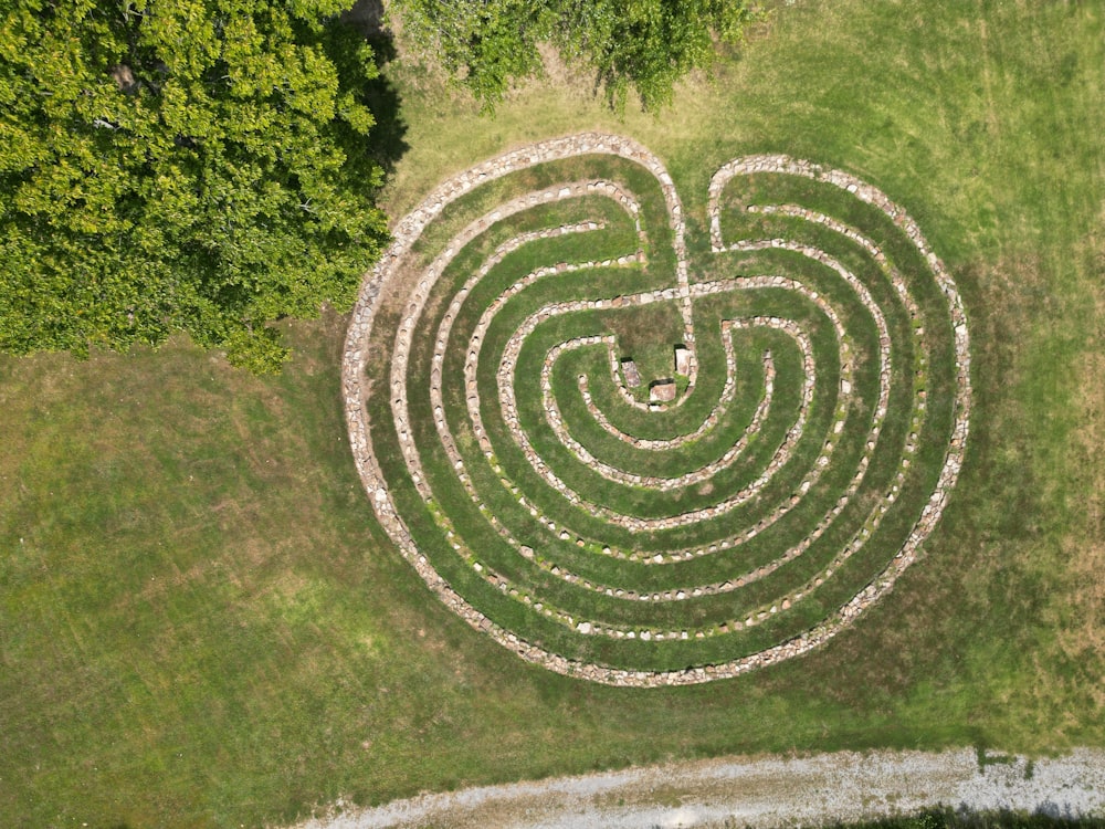 a circular pattern in the grass