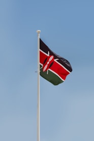 a flag on a pole