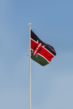 a flag on a pole