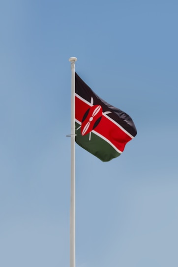 a flag on a pole