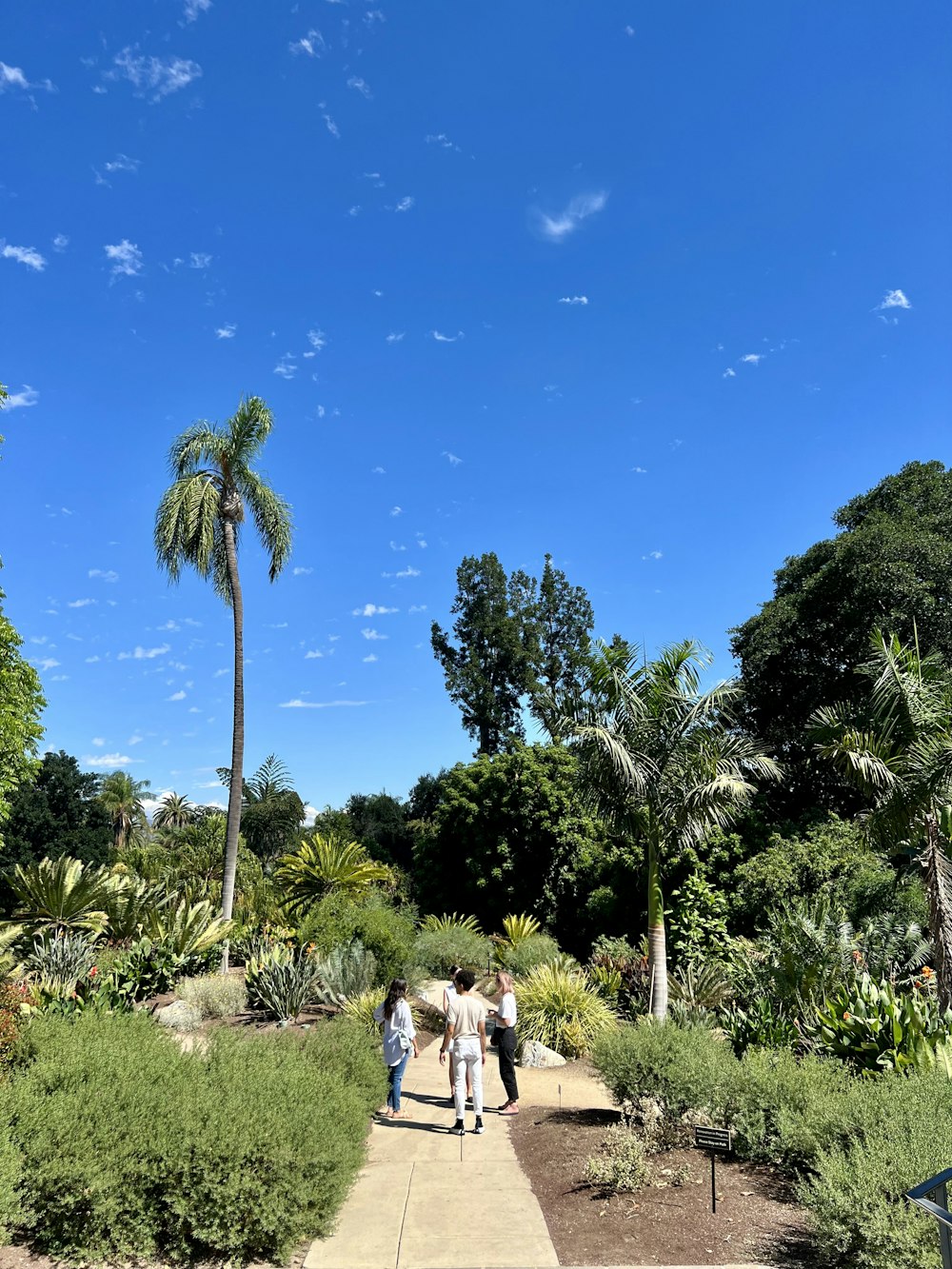 a group of people walking on a path through a tropical area