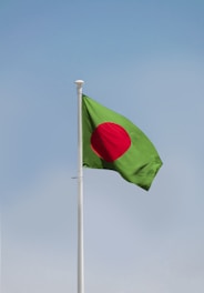 a flag on a pole