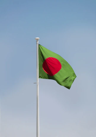 a flag on a pole