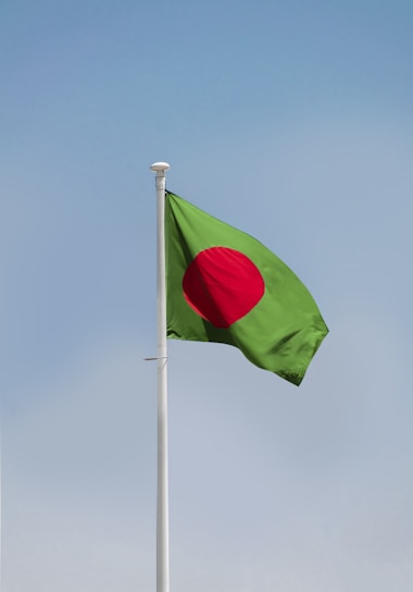 a flag on a pole