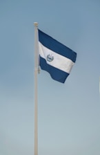 a blue and white flag on a flagpole