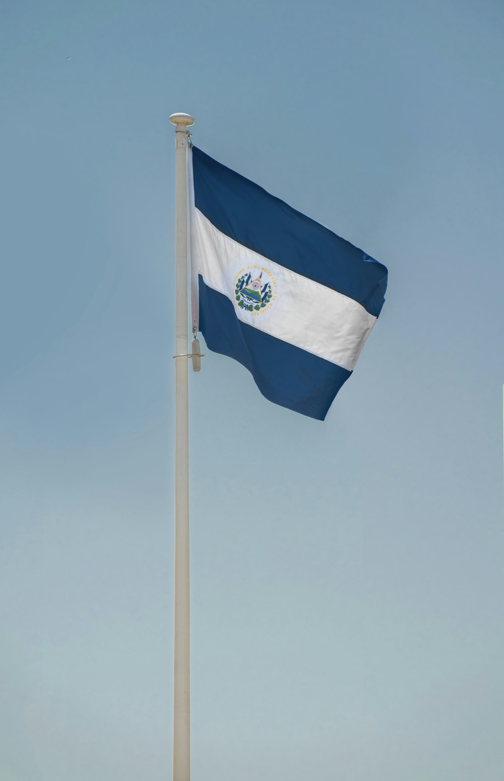 a blue and white flag on a flagpole