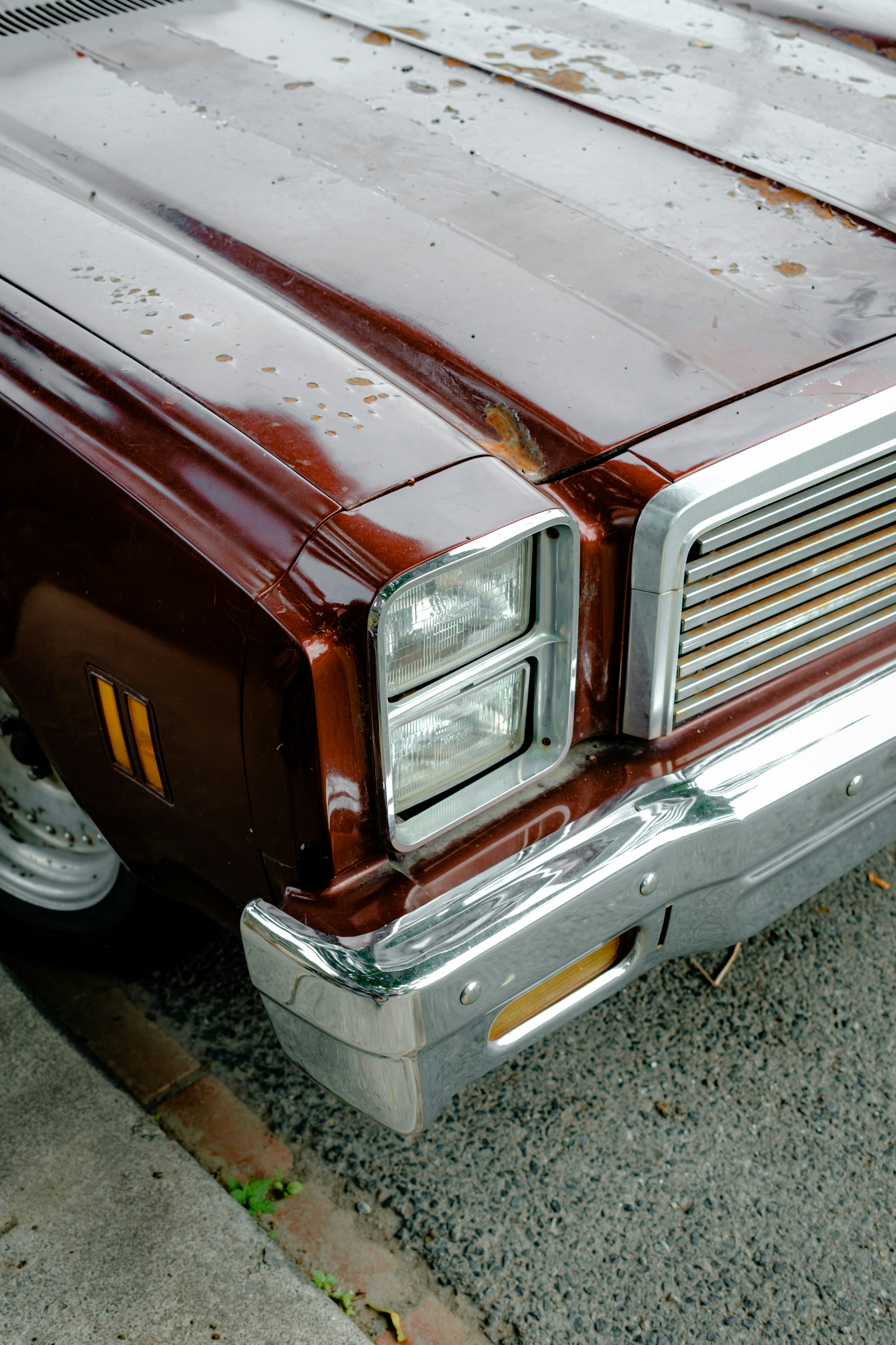 Photo by thombradley