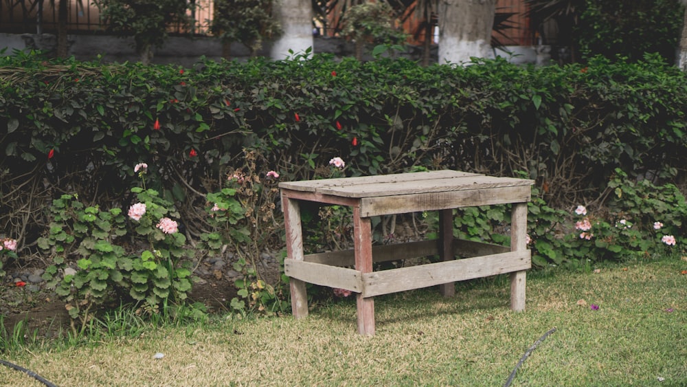 a bench in a garden