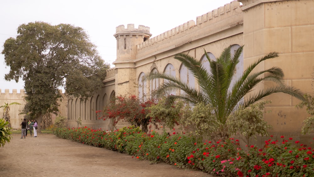 a building with palm trees and flowers