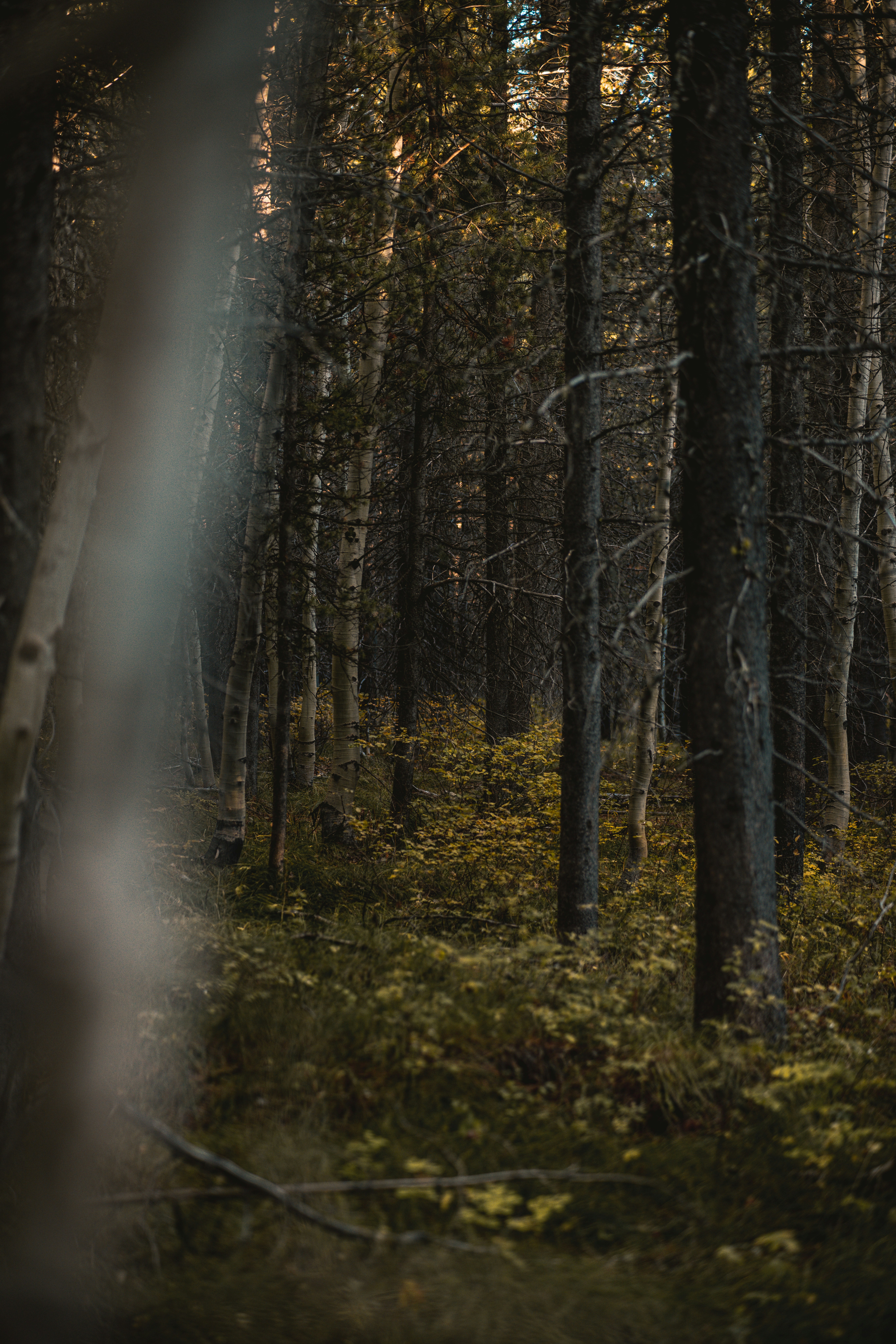 Photo by isaactmitchell