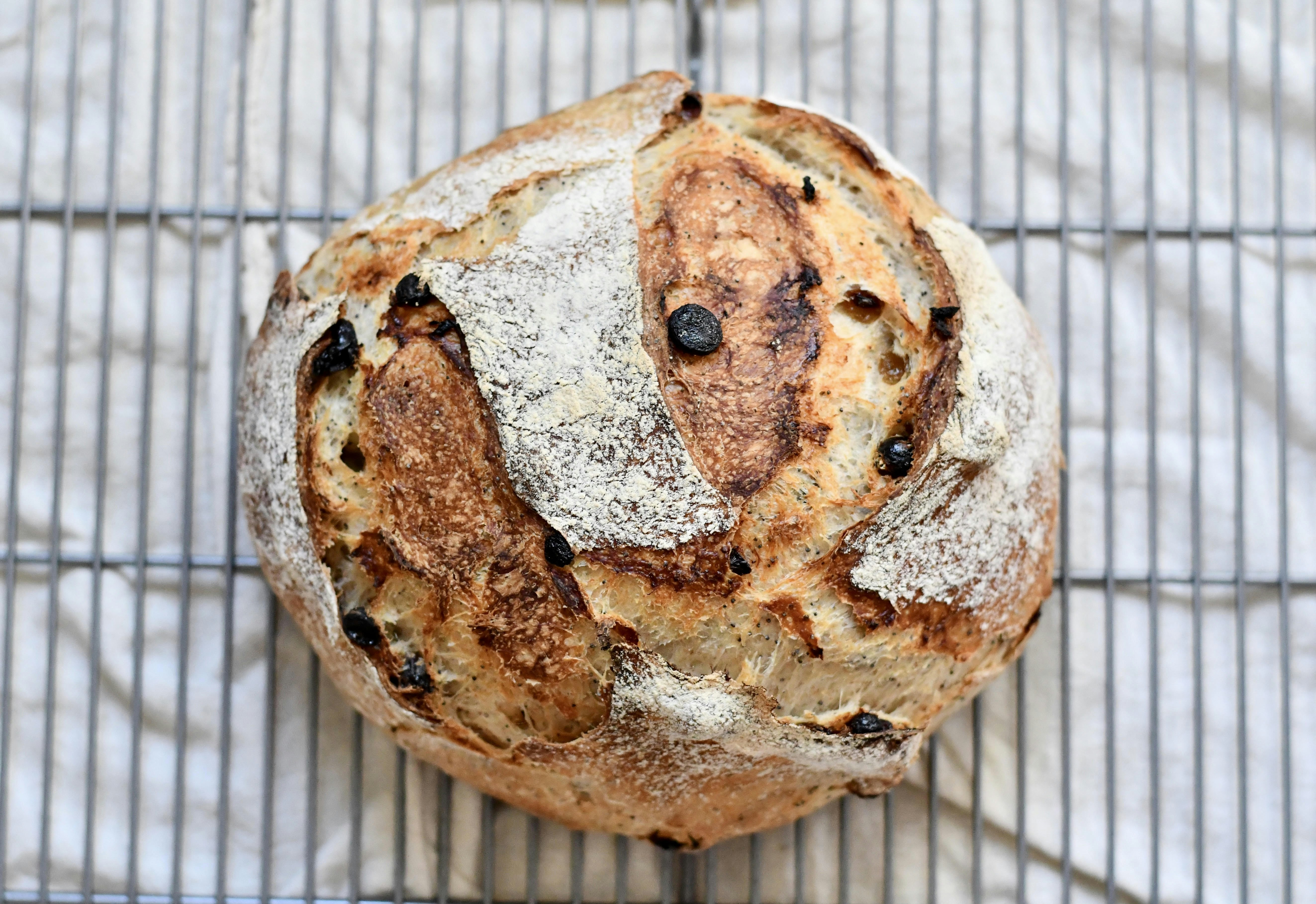 Mājās cepta rudzu maize