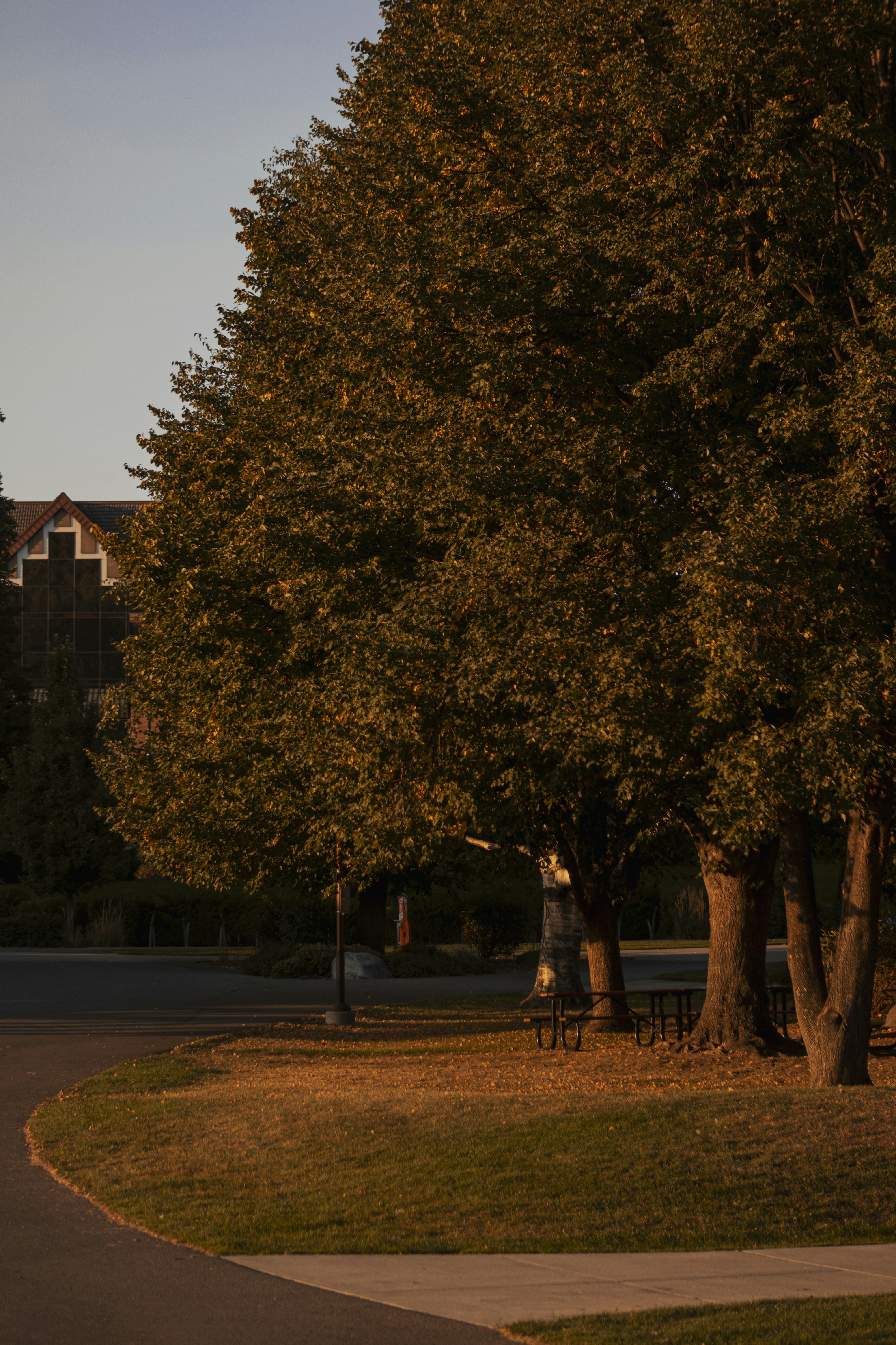 Photo by hf_photography