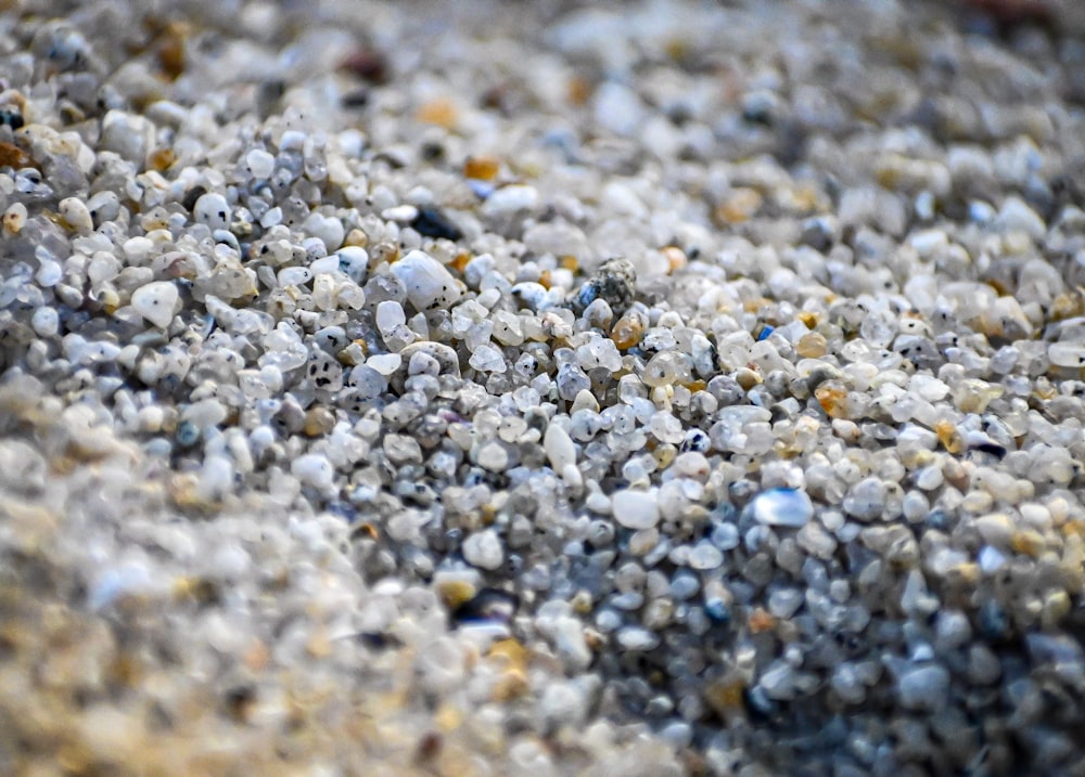 a close up of a beach