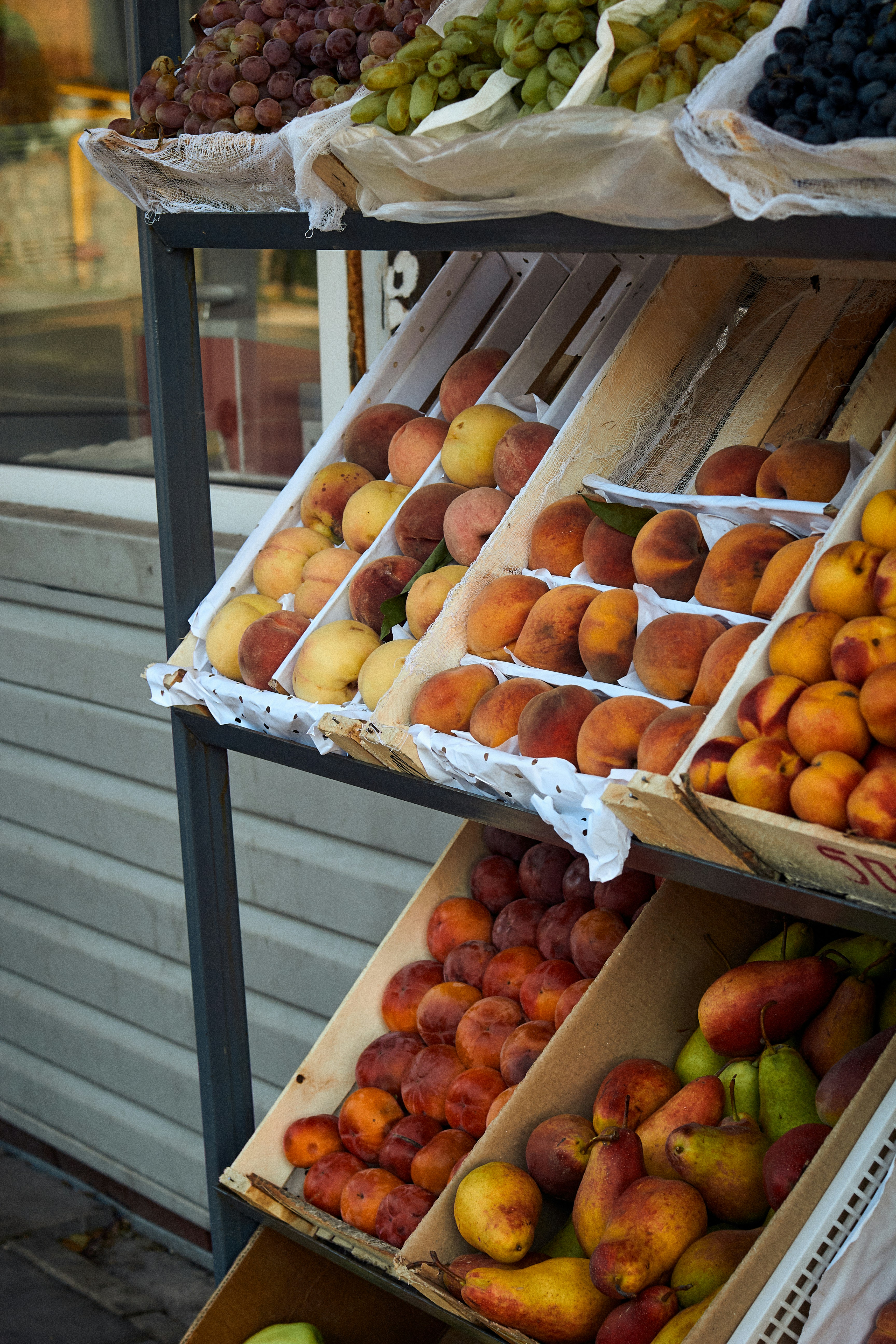 a group of fruits in boxes