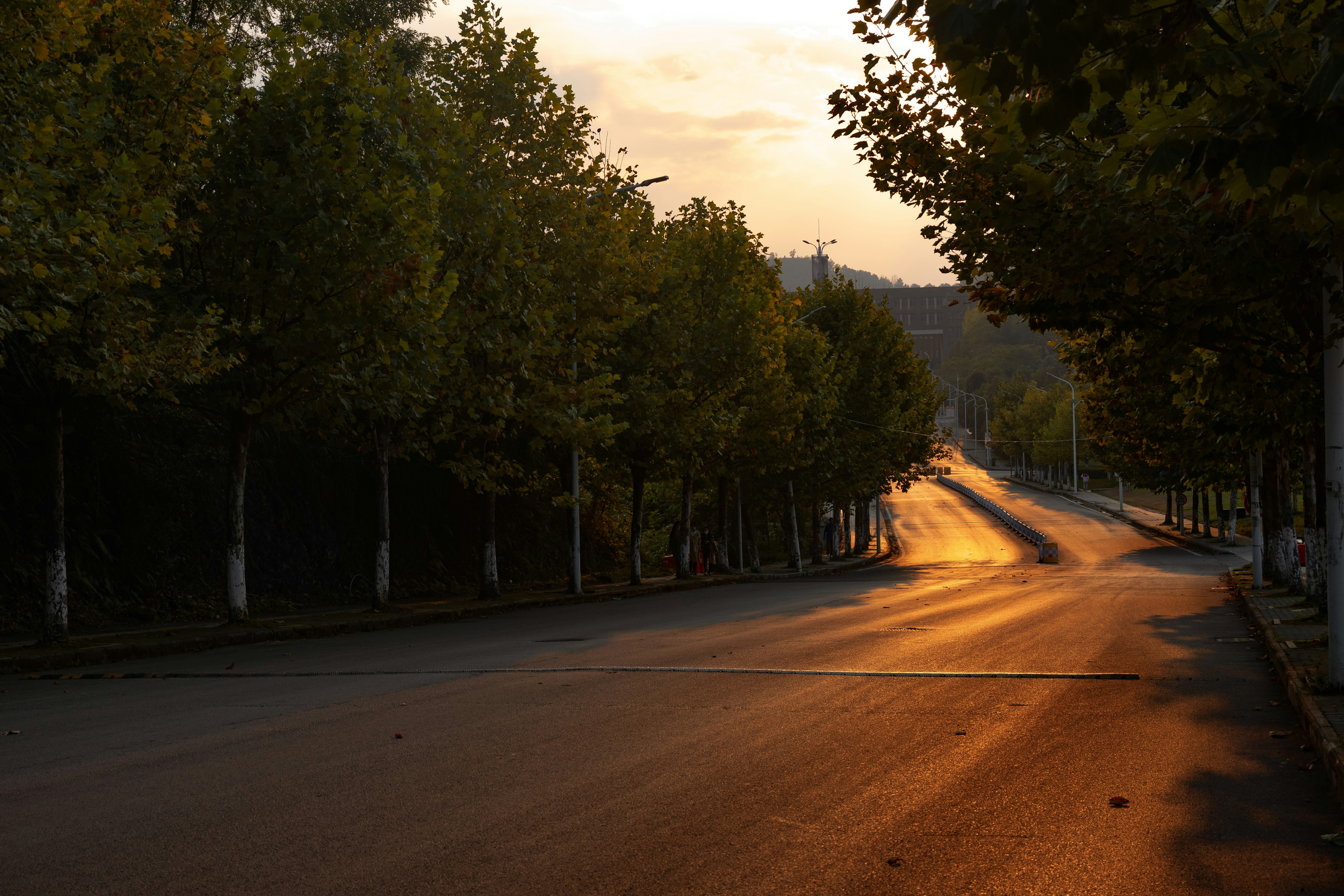 Photo by sunriseking