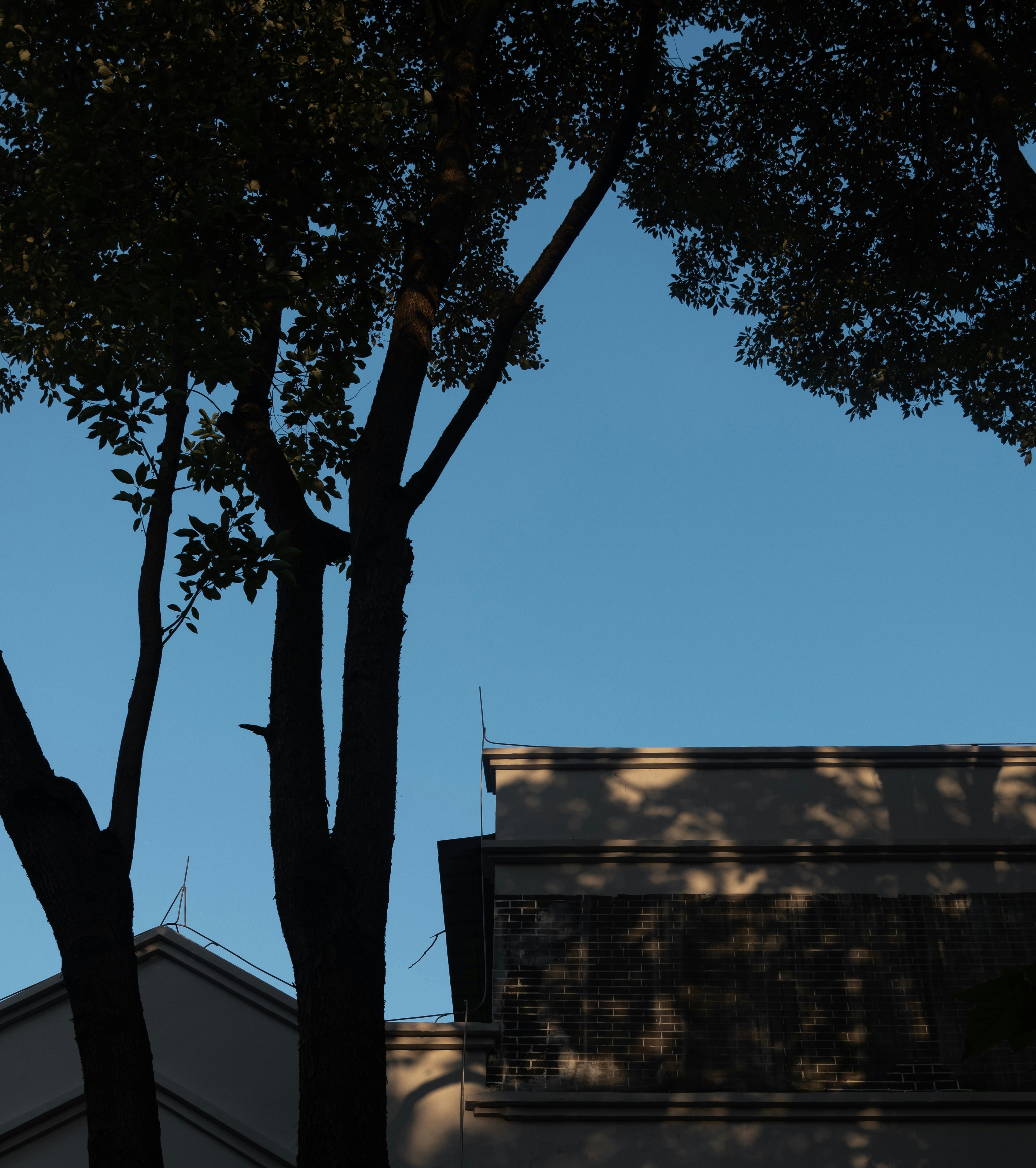 Photo by sunriseking