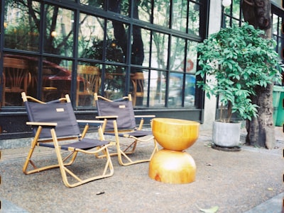 a group of chairs and a plant outside a building
