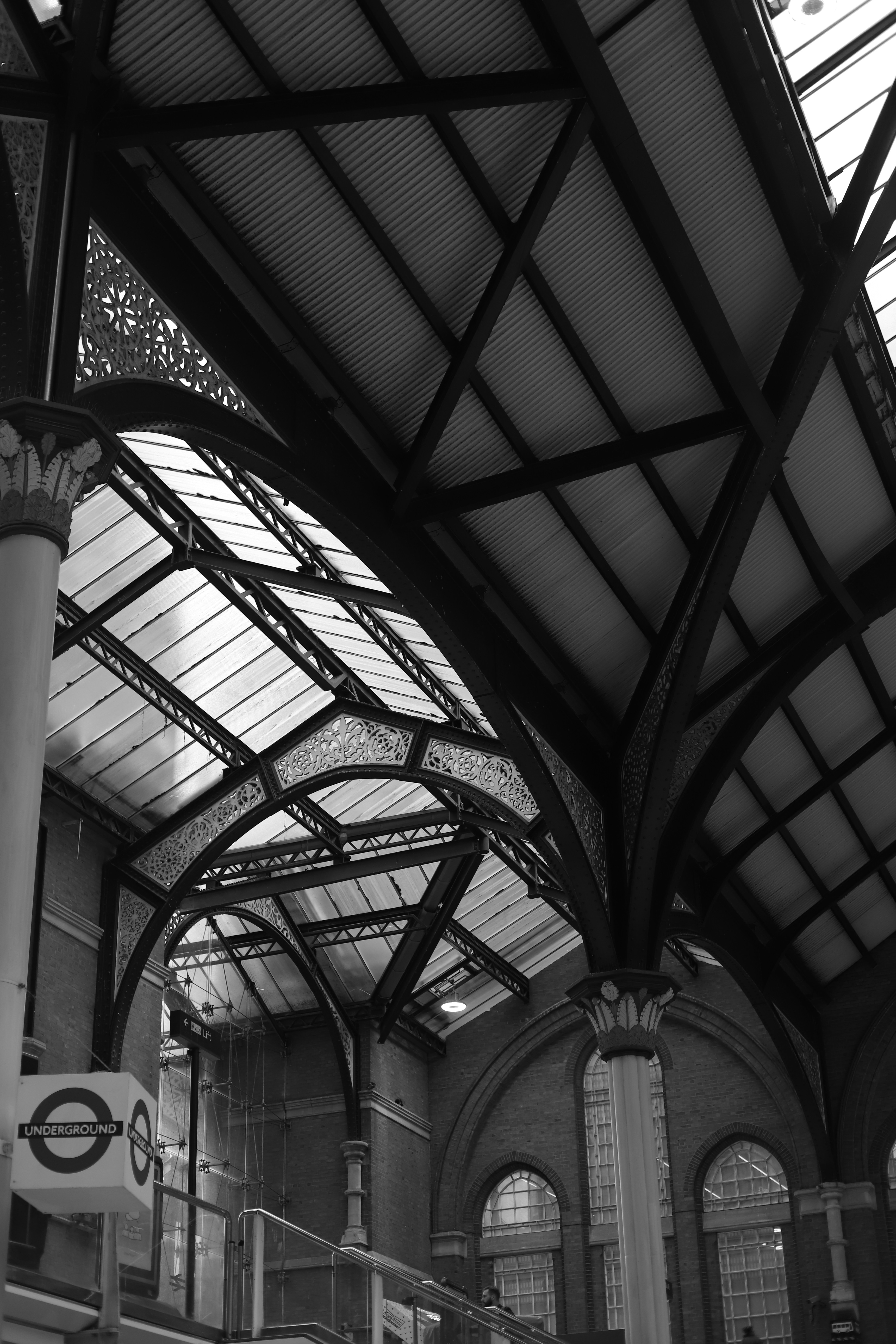 Photo by hollybooker15