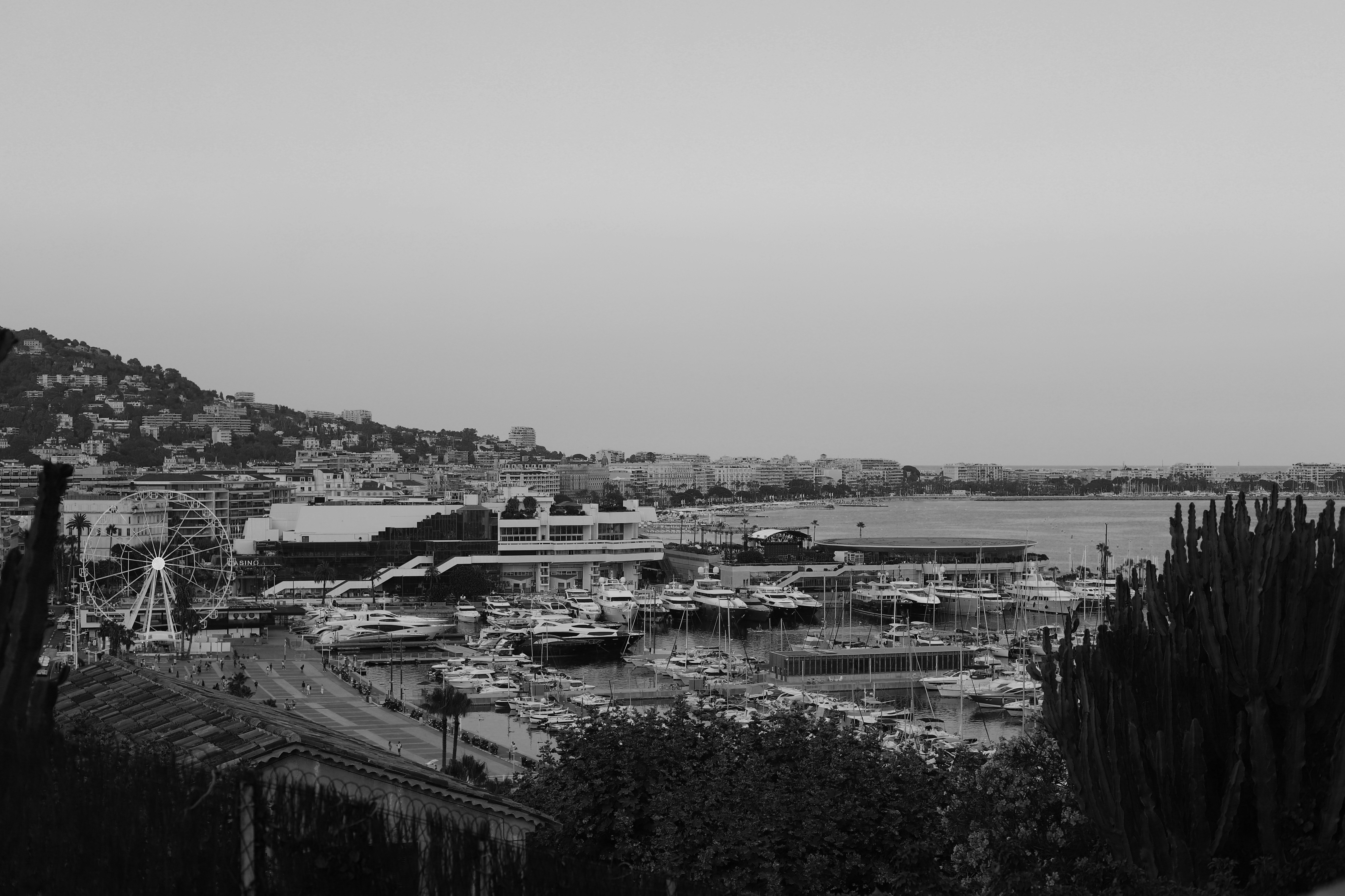 Photo by hollybooker15