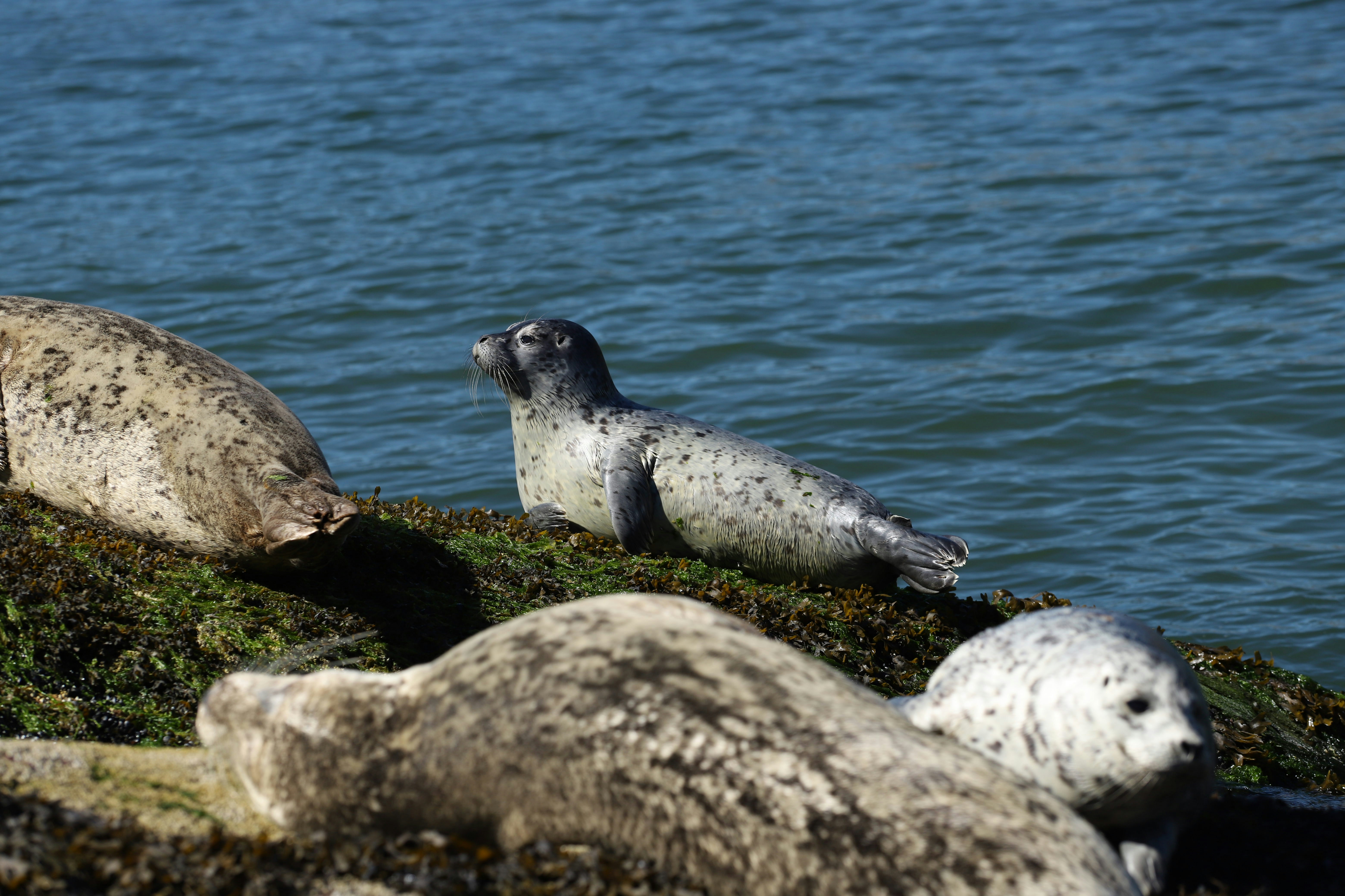 Photo by hollybooker15