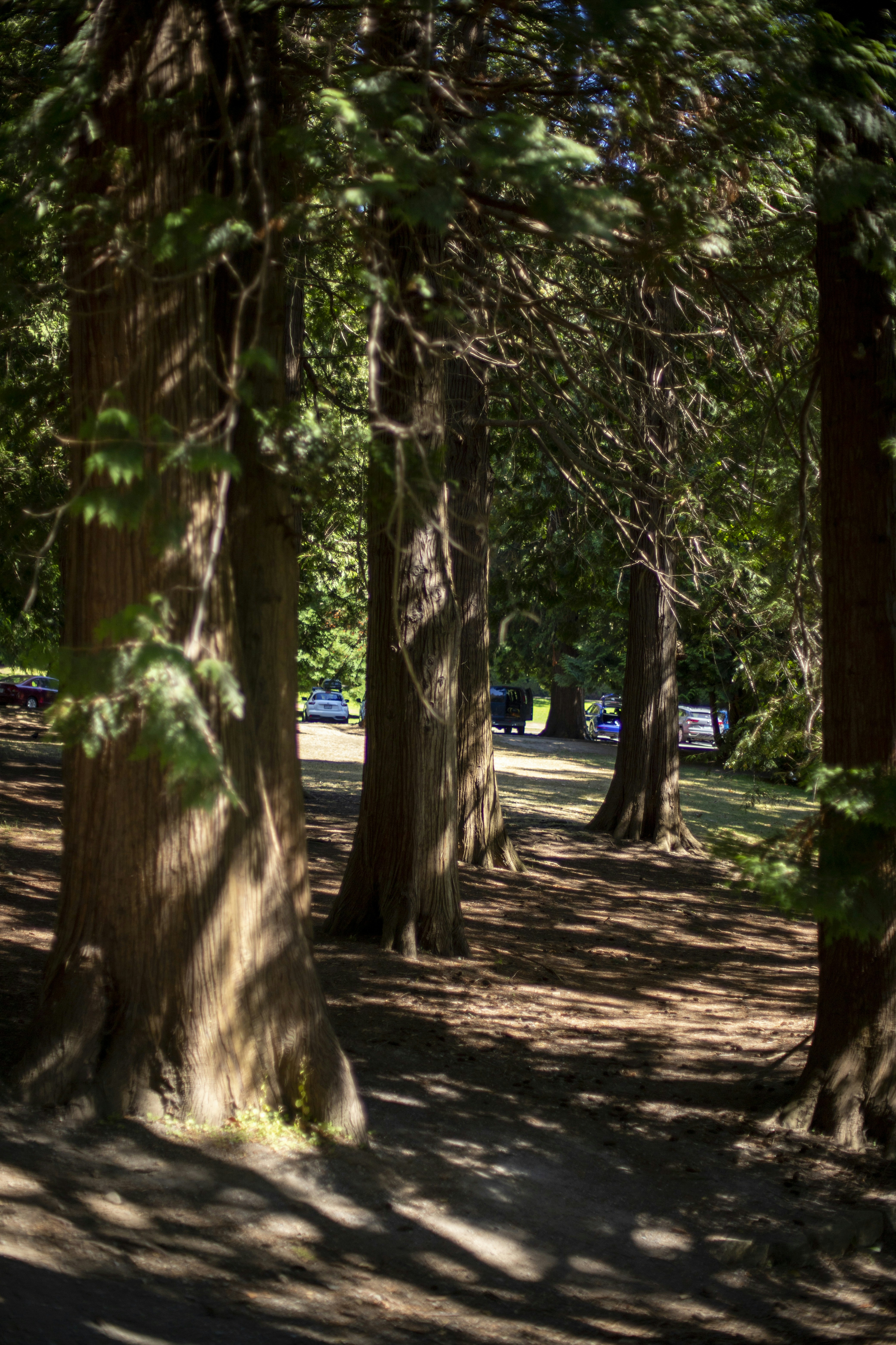 Photo by hollybooker15