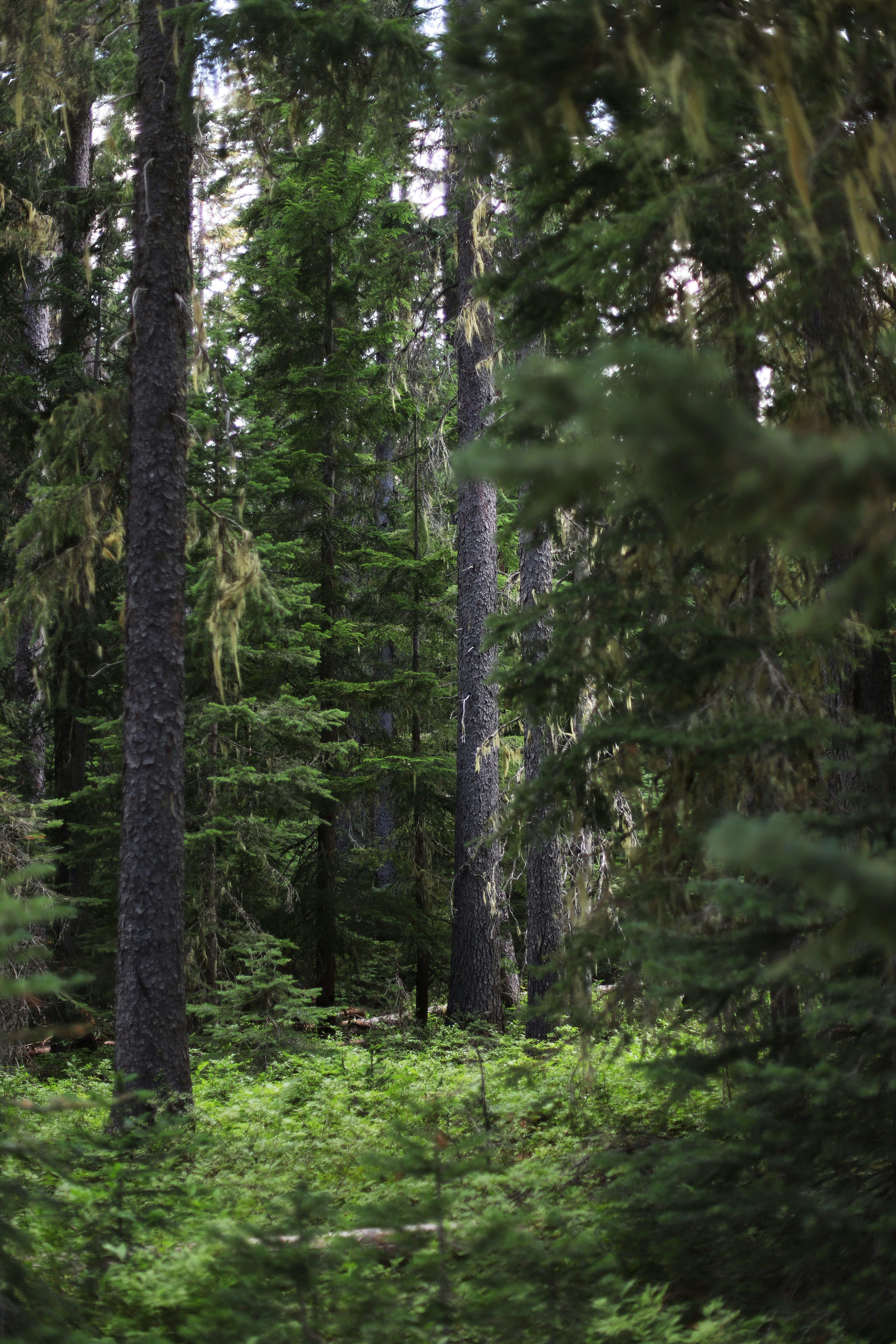 Photo by hollybooker15