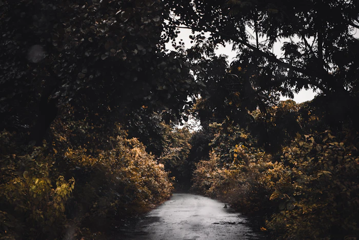 Hidden Attractions