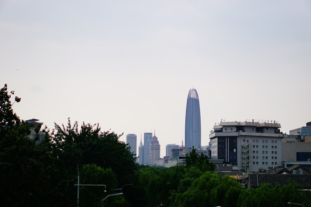 a city skyline with trees